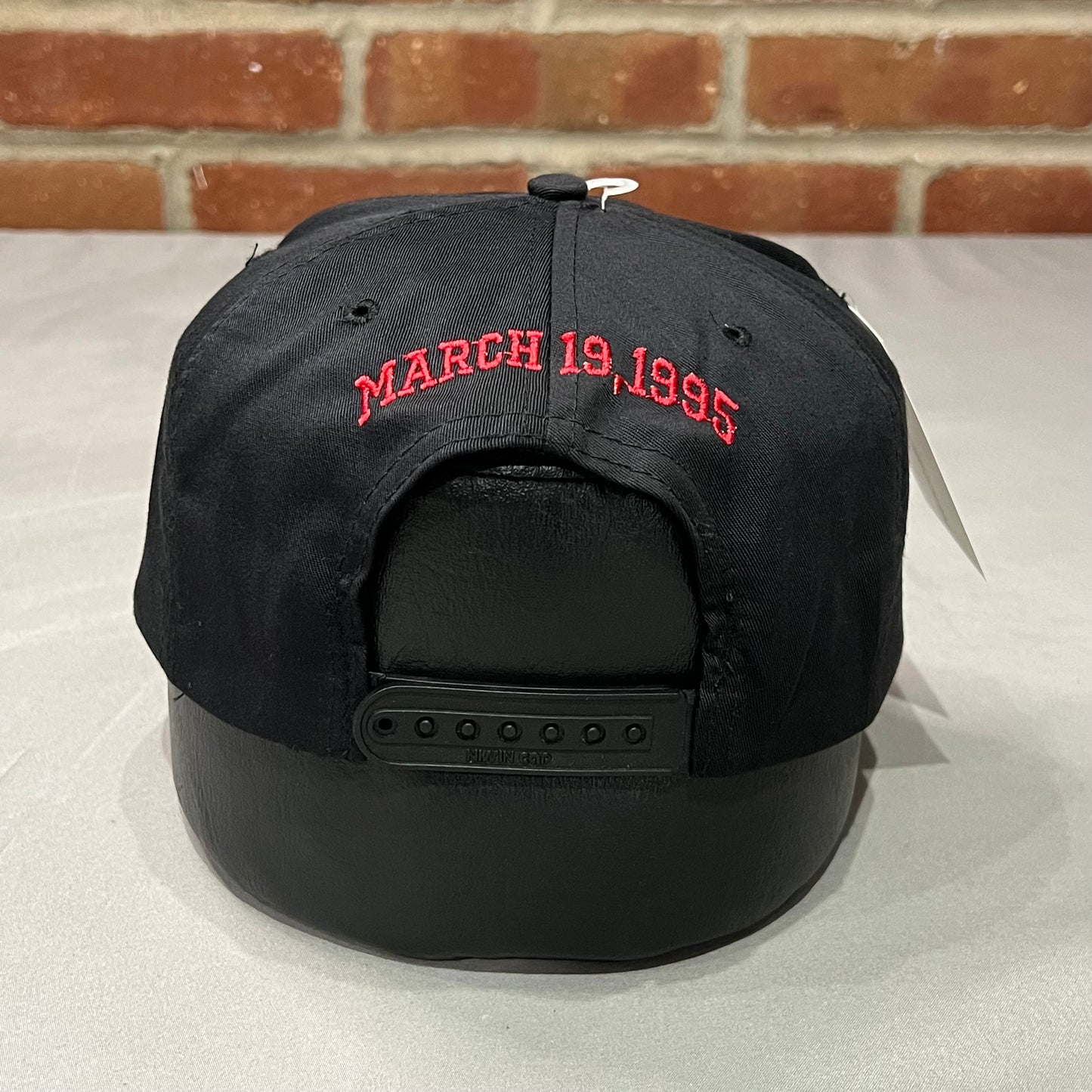 1995 Chicago Bulls I'm Back #45 Hat