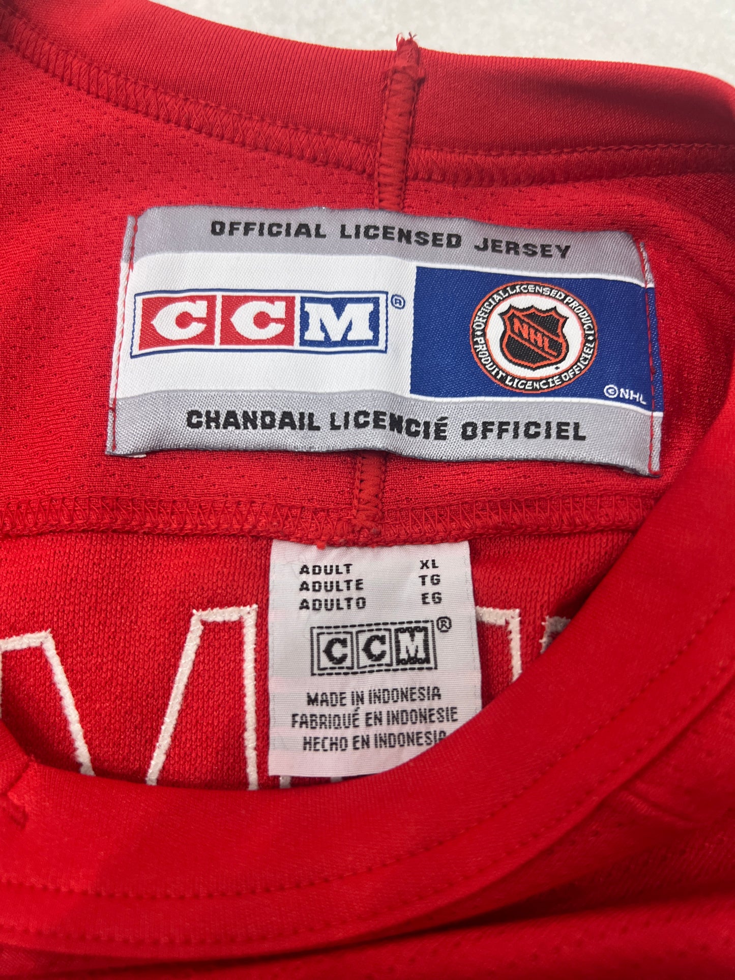 (Adult XL) Vintage Steve Yzerman Detroit Red Wings Jersey