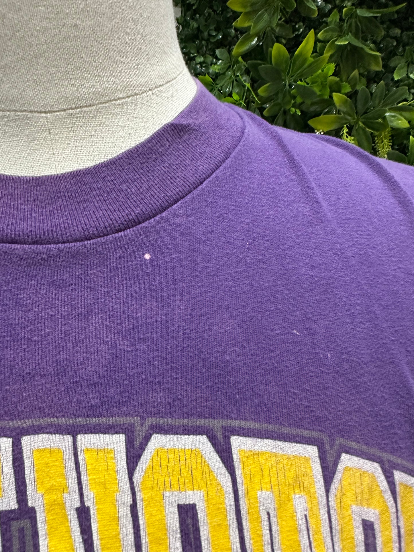 (Mens Large) 90s University of Washigton Huskies 007Shirt