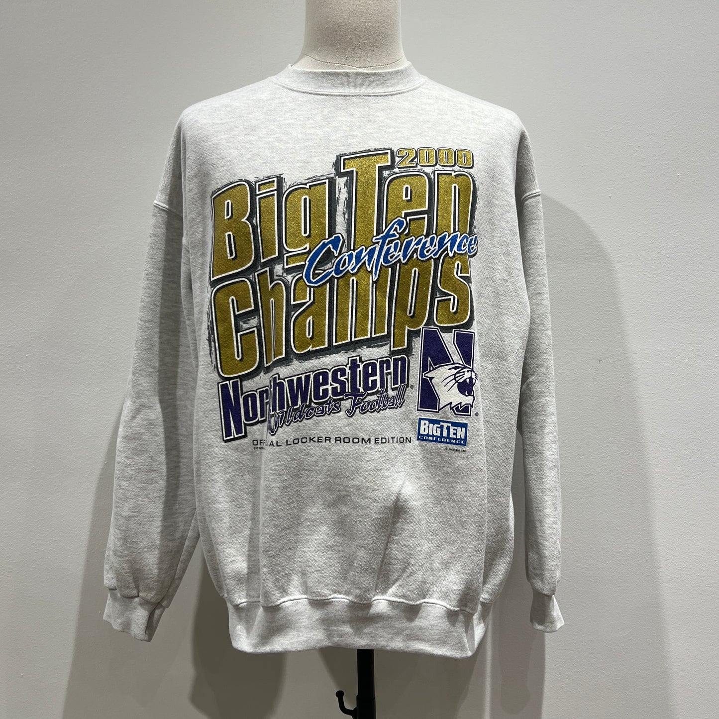 (Mens XL) 2000 Northwestern Sweater
