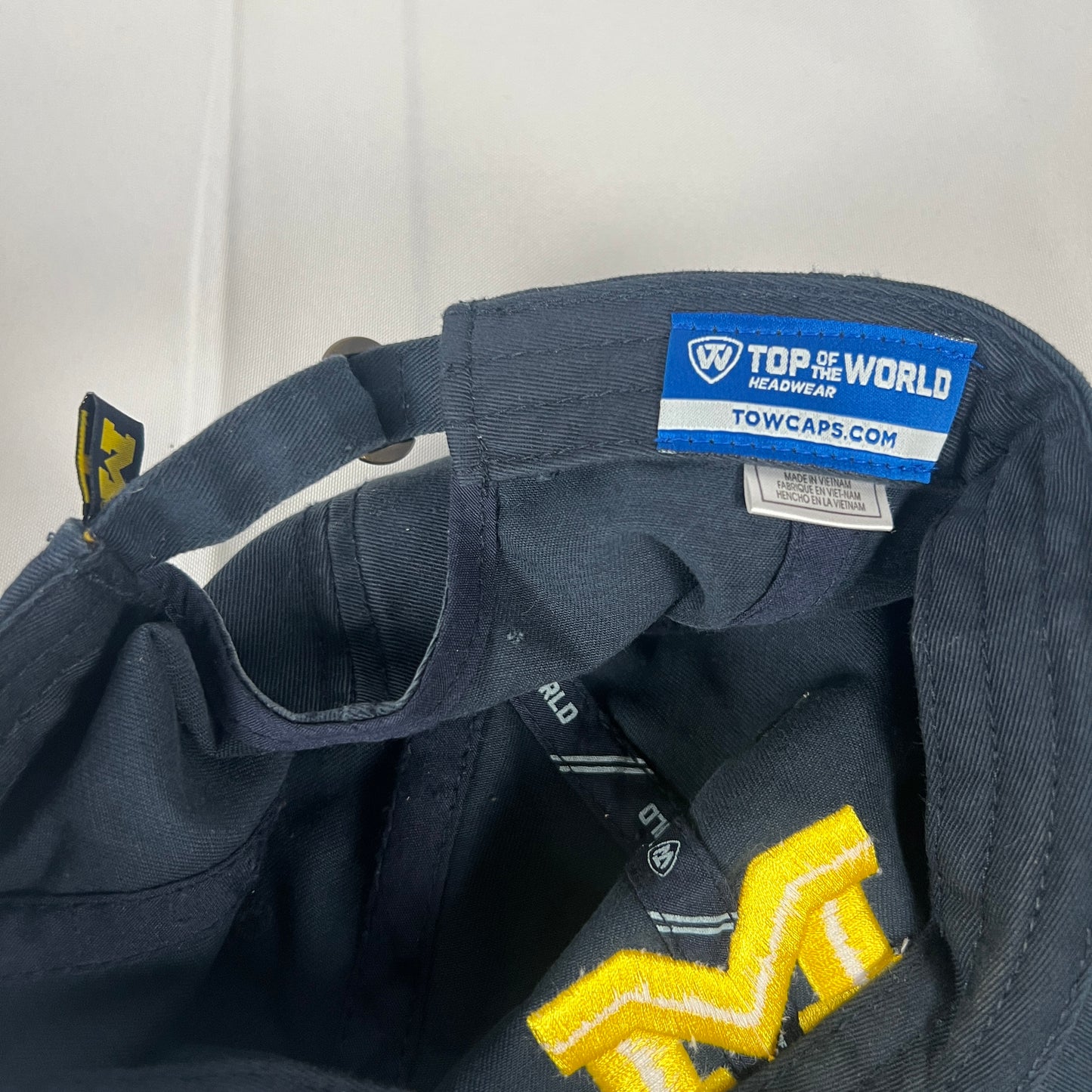 Michigan Dad Hat