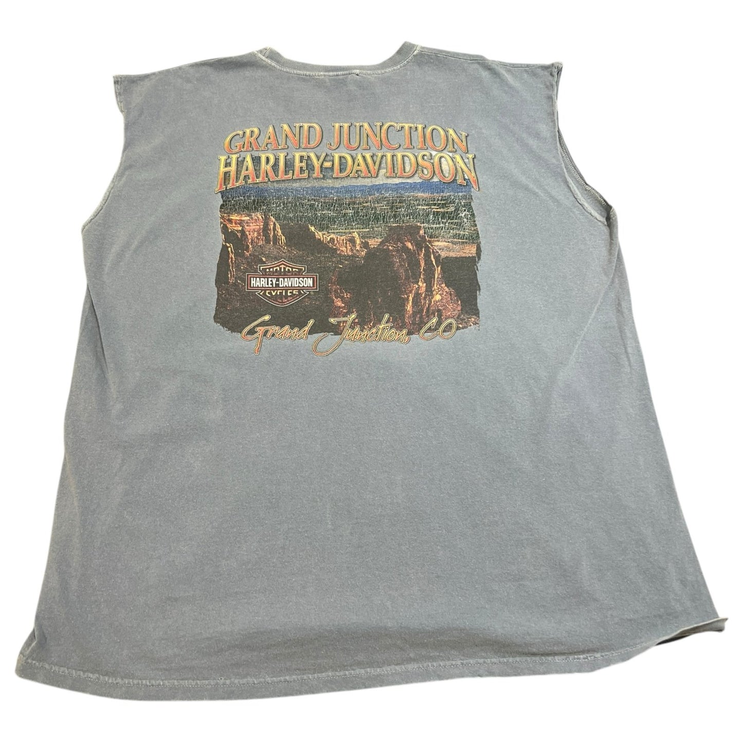 Harley Davidson Sleeveless Tank Top Shirt Mens 2XL XXL Grand Junction Blue