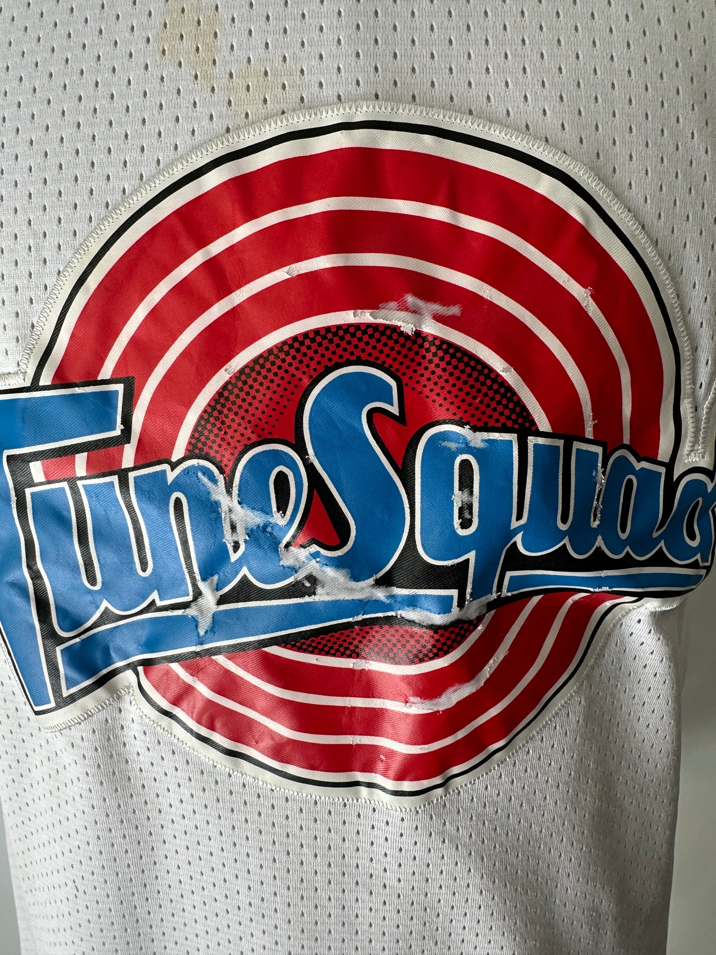 (Mens Small) 90s Tune Squad Lola Bunny Jersey
