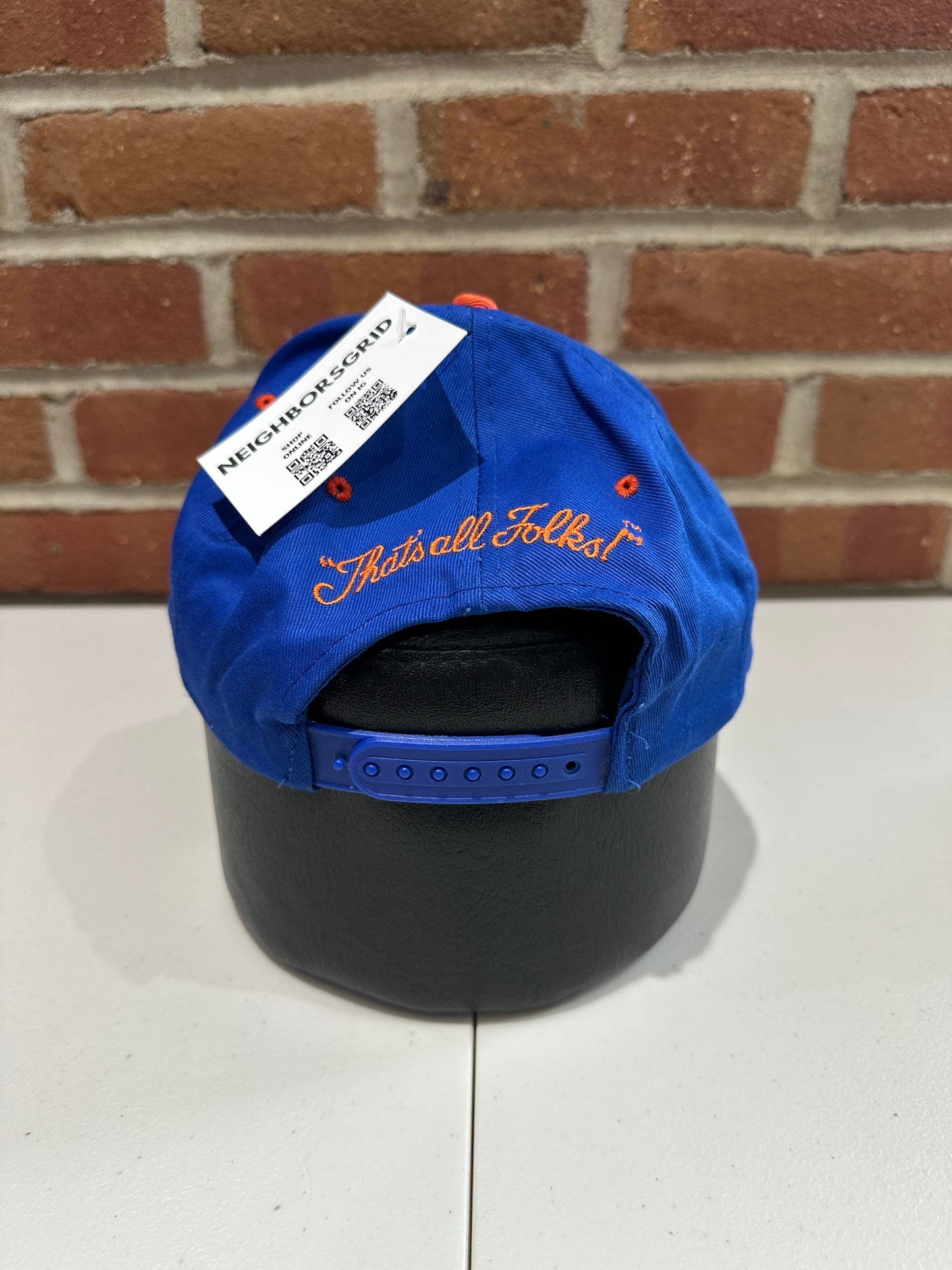 (Adult) 90s University of Illinois Taz Snapback Hat