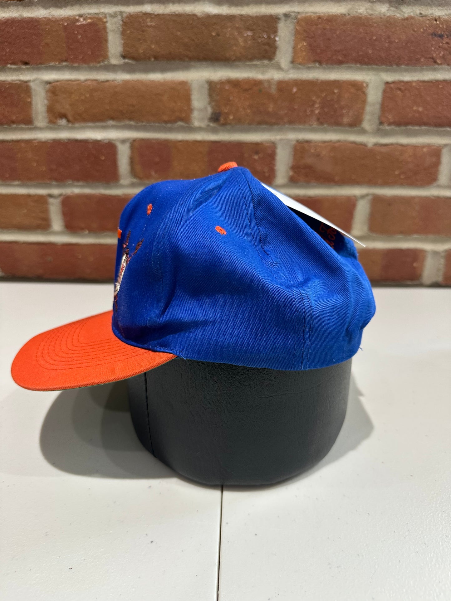 (Adult) 90s University of Illinois Taz Snapback Hat