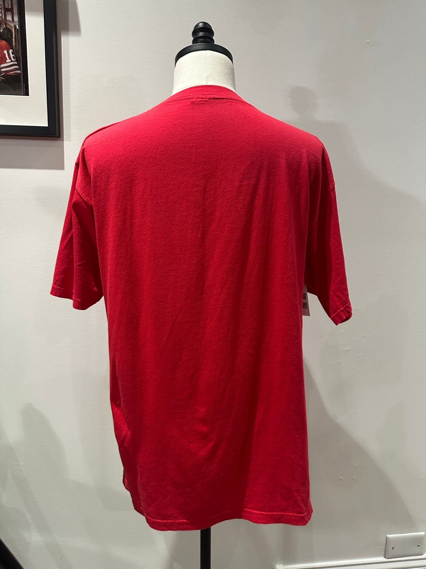 L 31 x 22