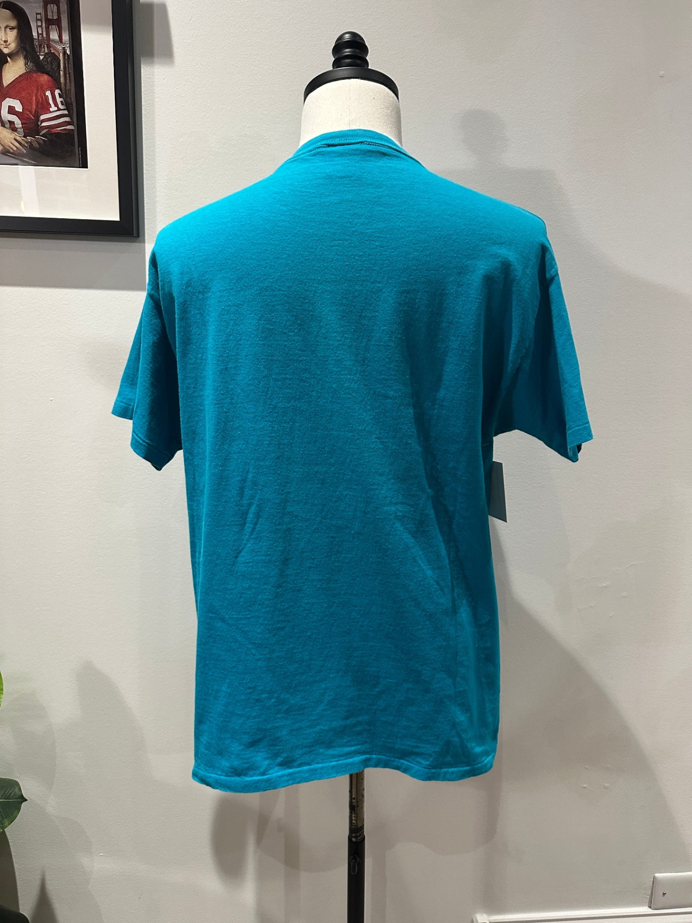 L 29 x 21