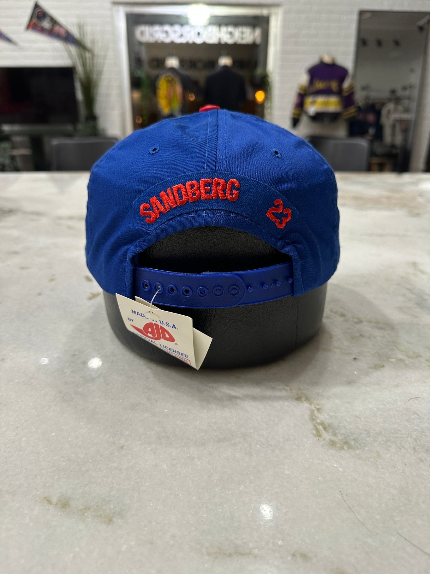 Ryne Sandberg Hat Blue