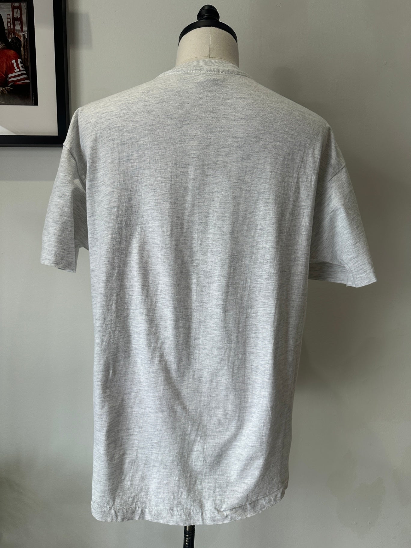 XL 29 X 23 