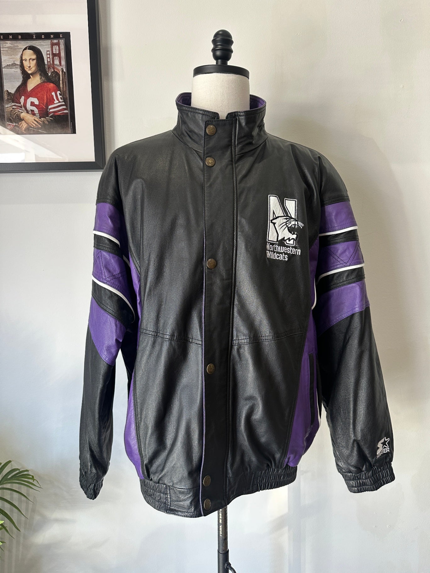 XL 30 X 29 