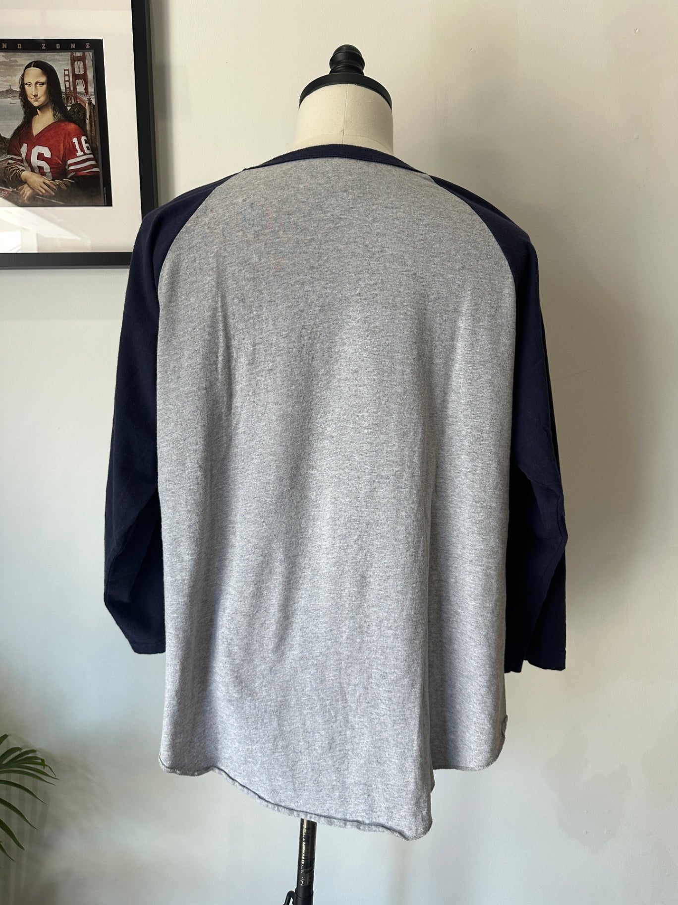 XL 28 X 24 