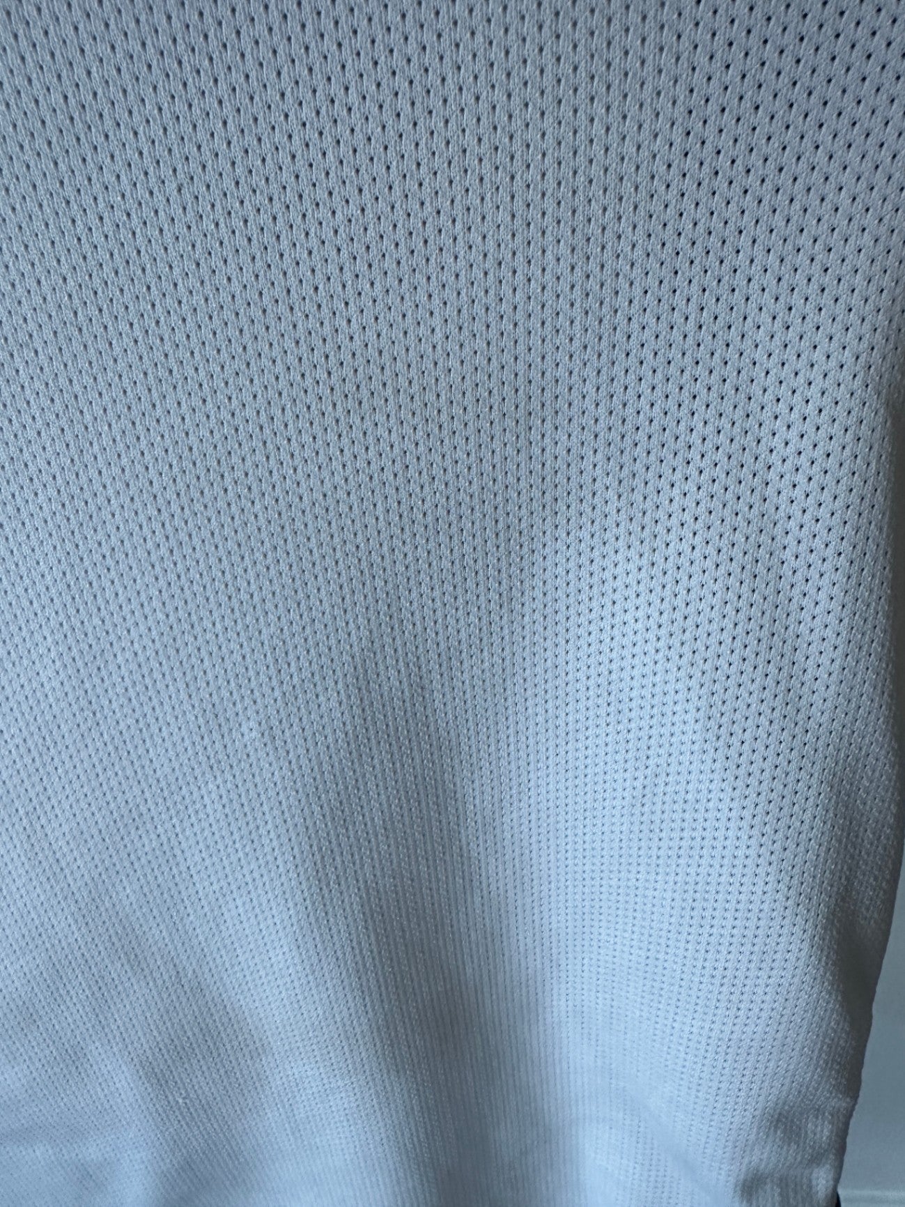 L 29 X 23 FLAWS