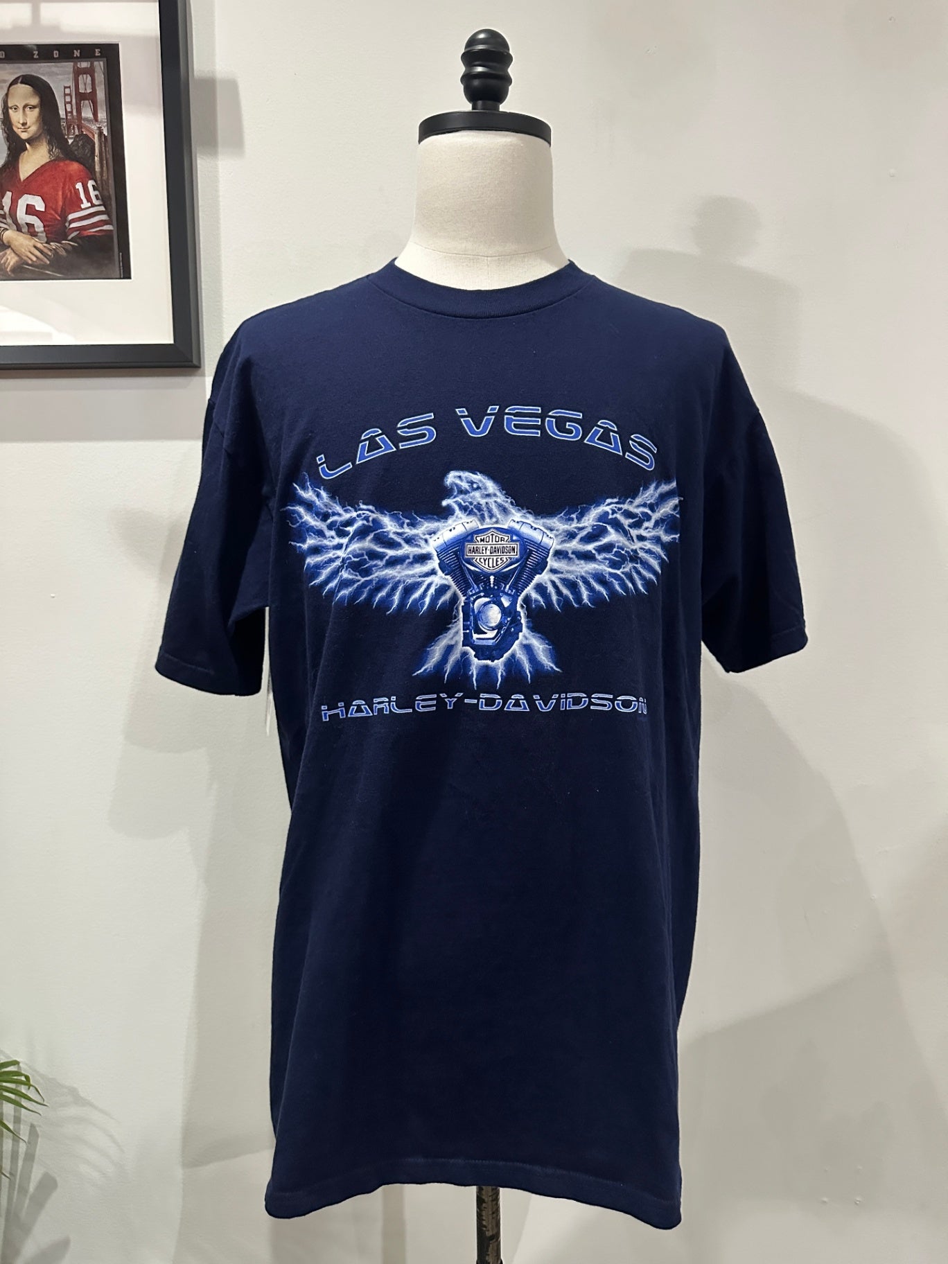 XL 31 X 22 