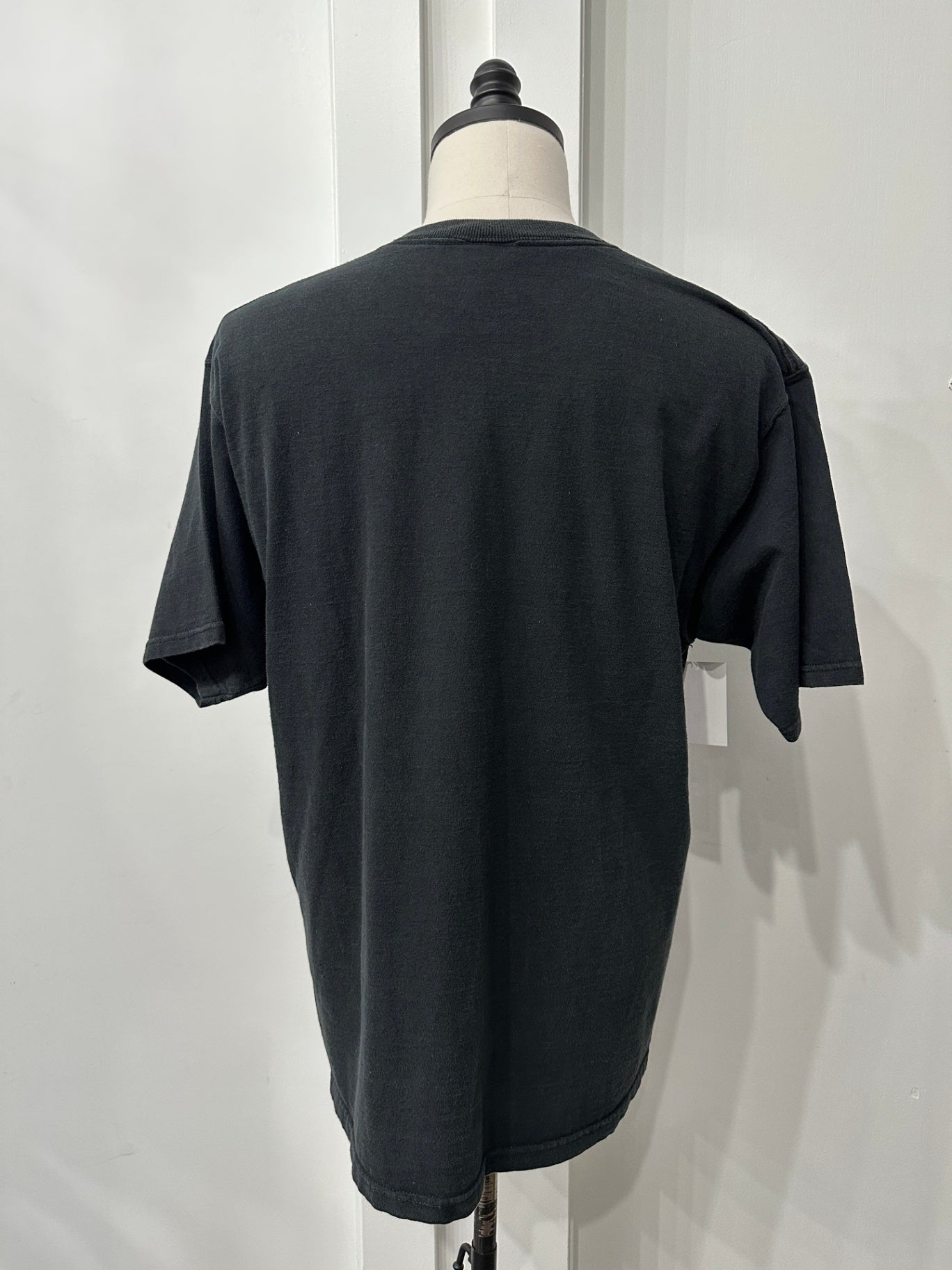 L 29 X 22 