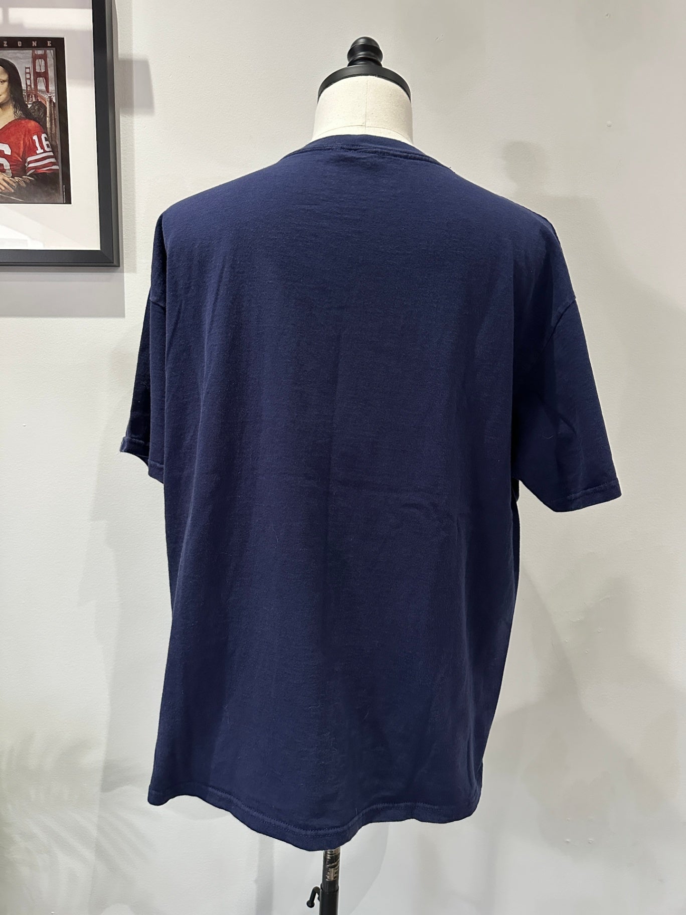XL 29 X 24 