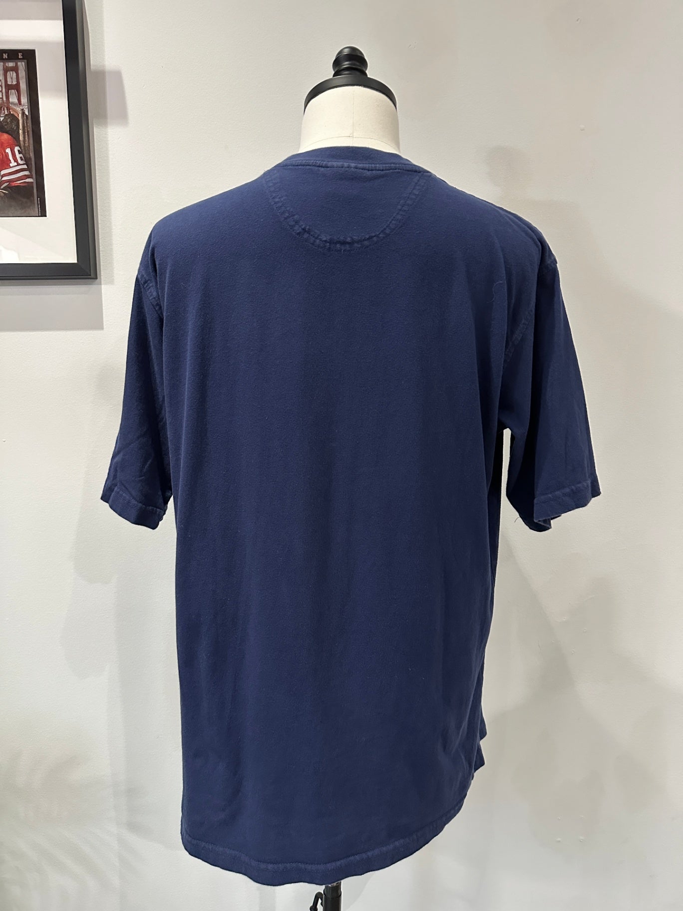 L 29 X 23 