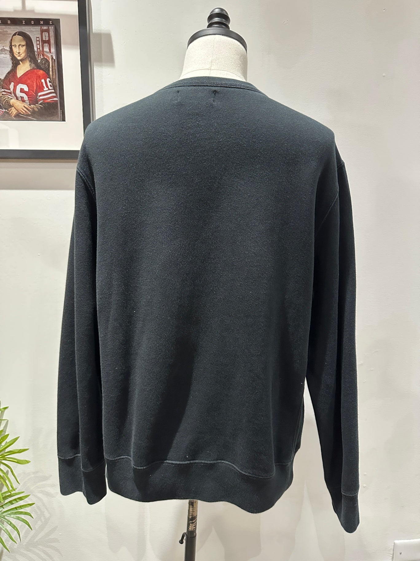 XL 29 X 26 