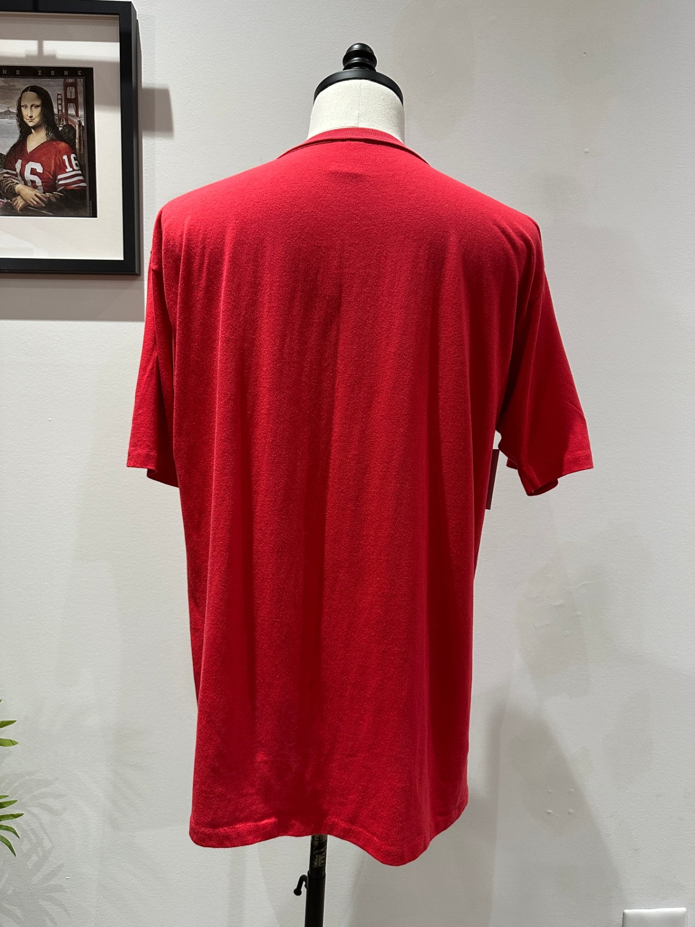 XL 31 X 23 