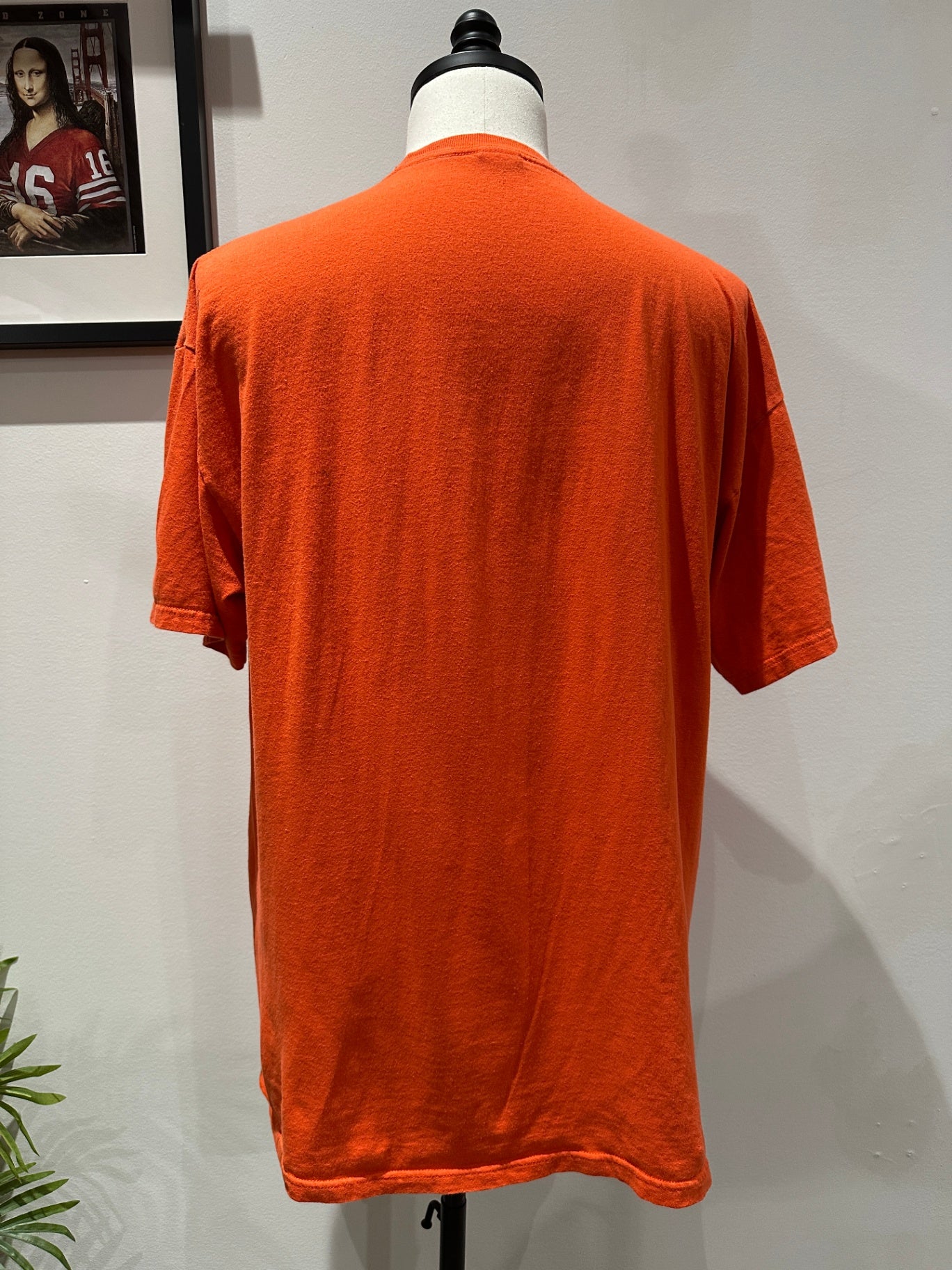 XL 31 X 24 FLAWS