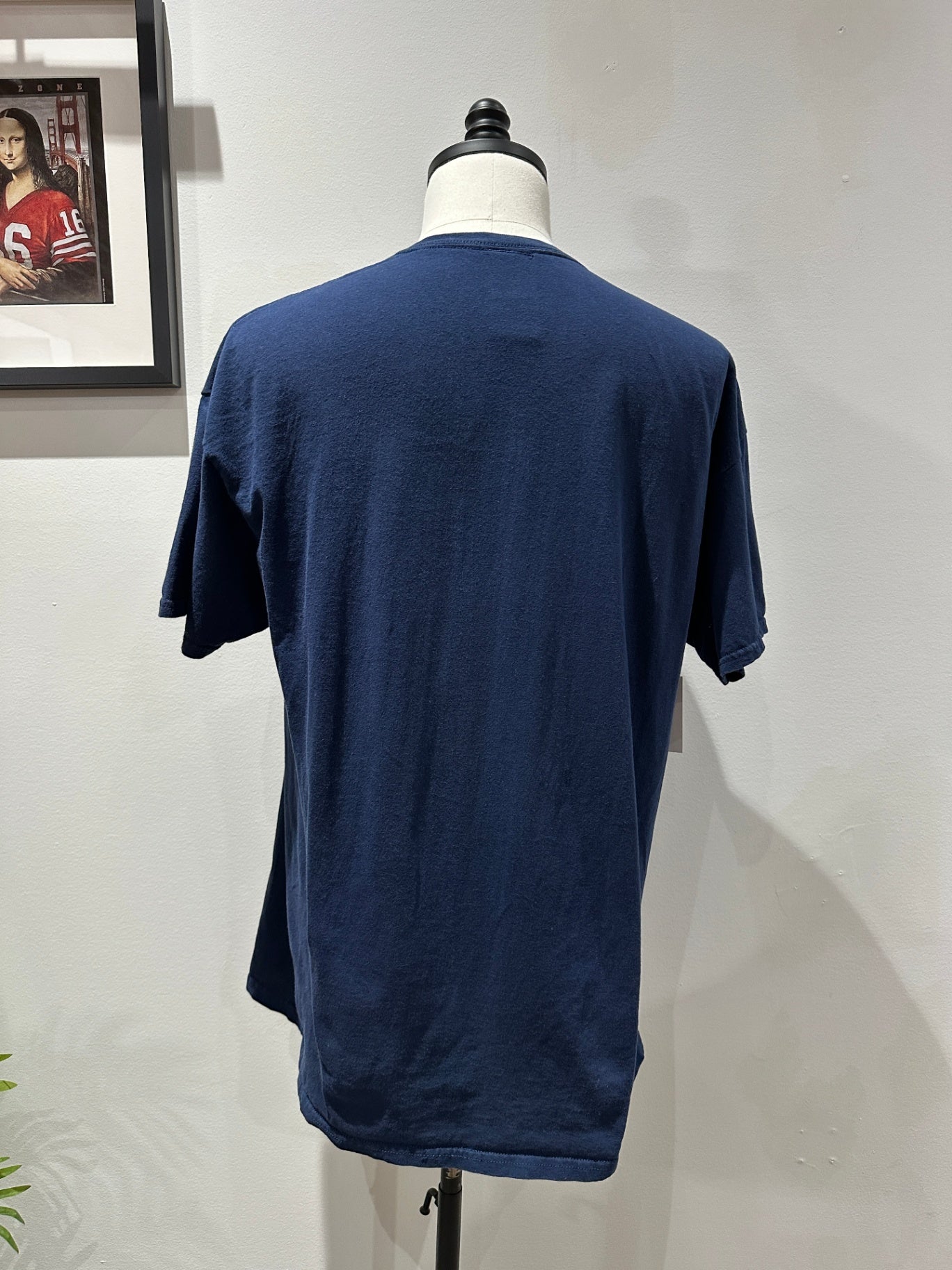 XL 31 X 24 