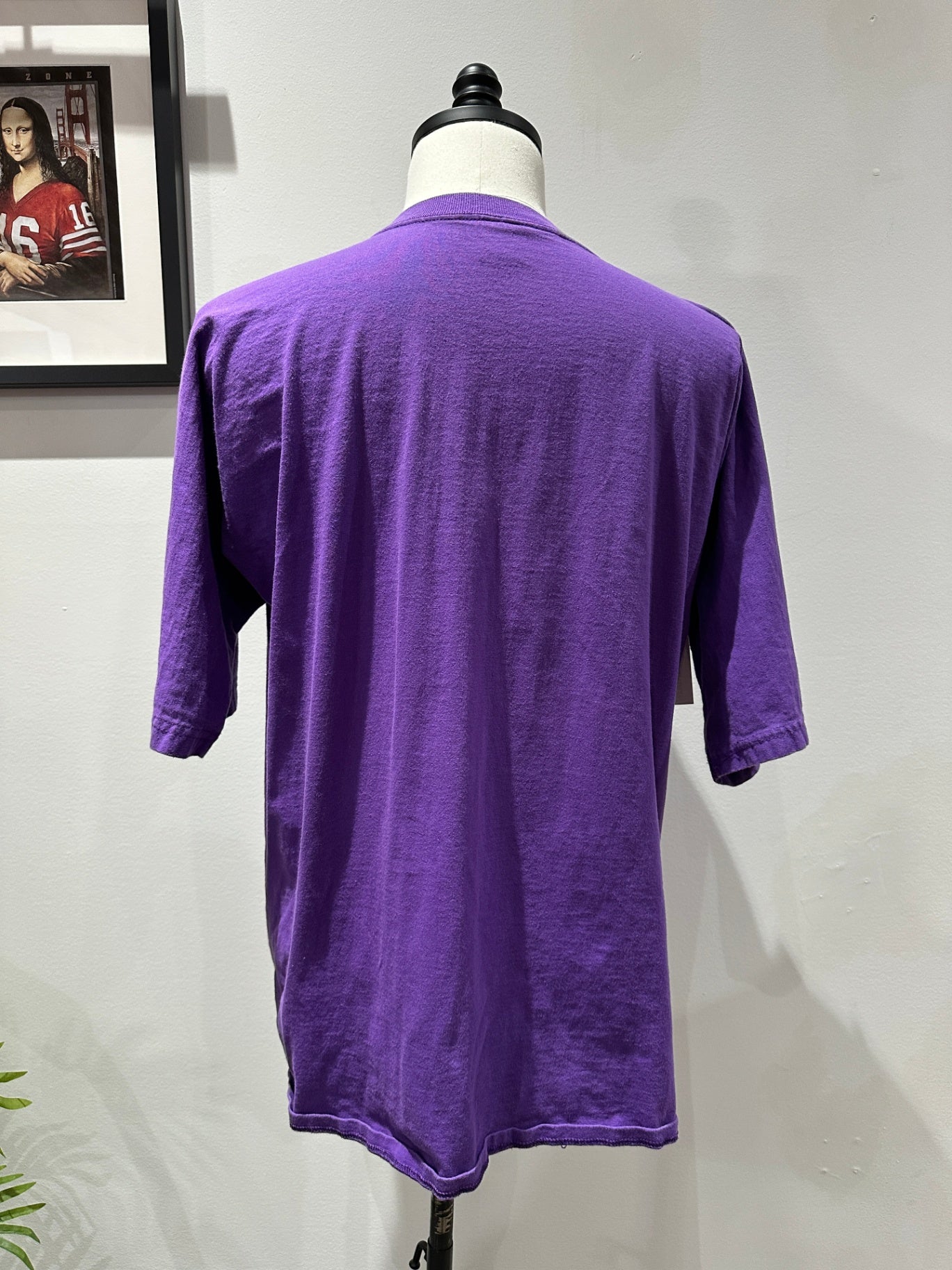 XL 29 X 24 