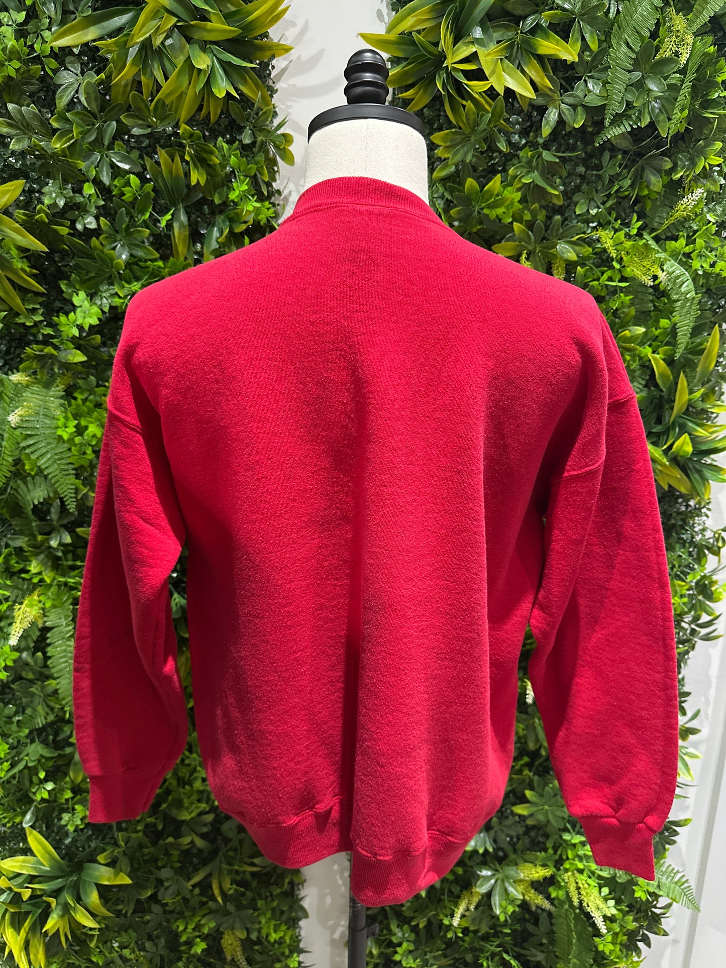 (Mens XL) Wisconsin Badgers 1994 Rsoe Bowl sweater