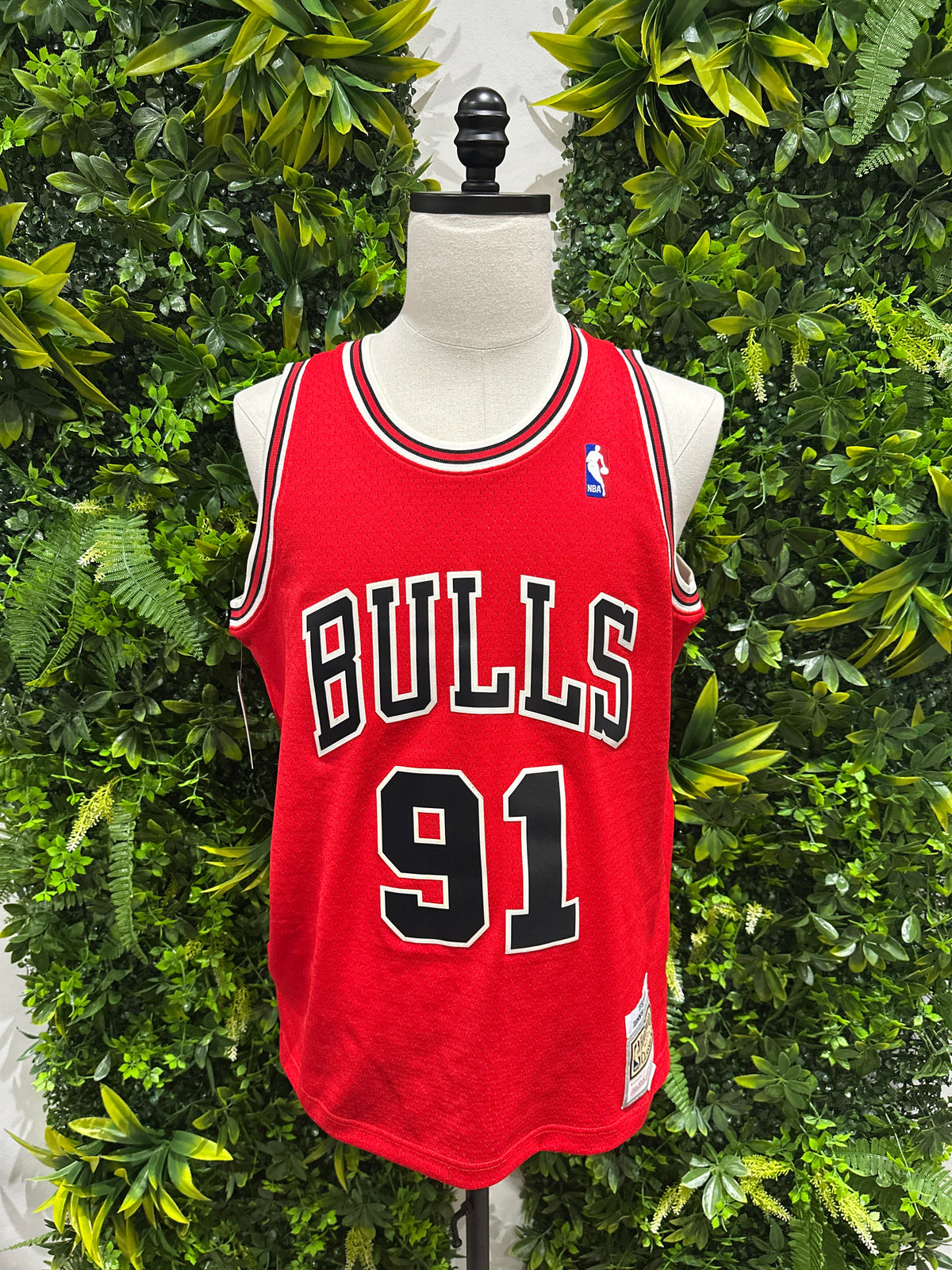 (Mens Large) Retro NBA Chicago Bulls 'Denis Rodman' Jersey 007