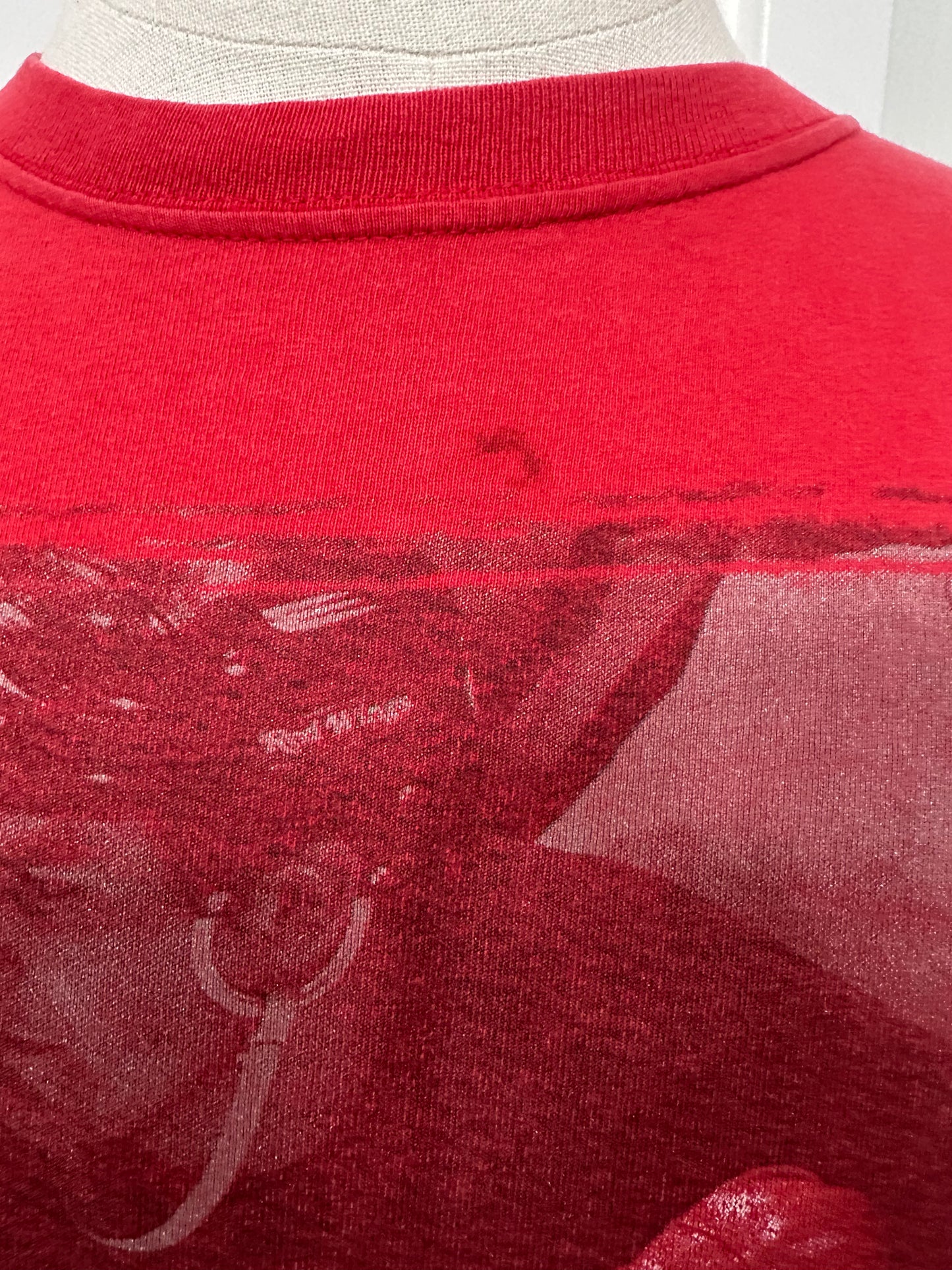 (Mens Medium) 90s NHL Detroit Red Wings Shirt 007