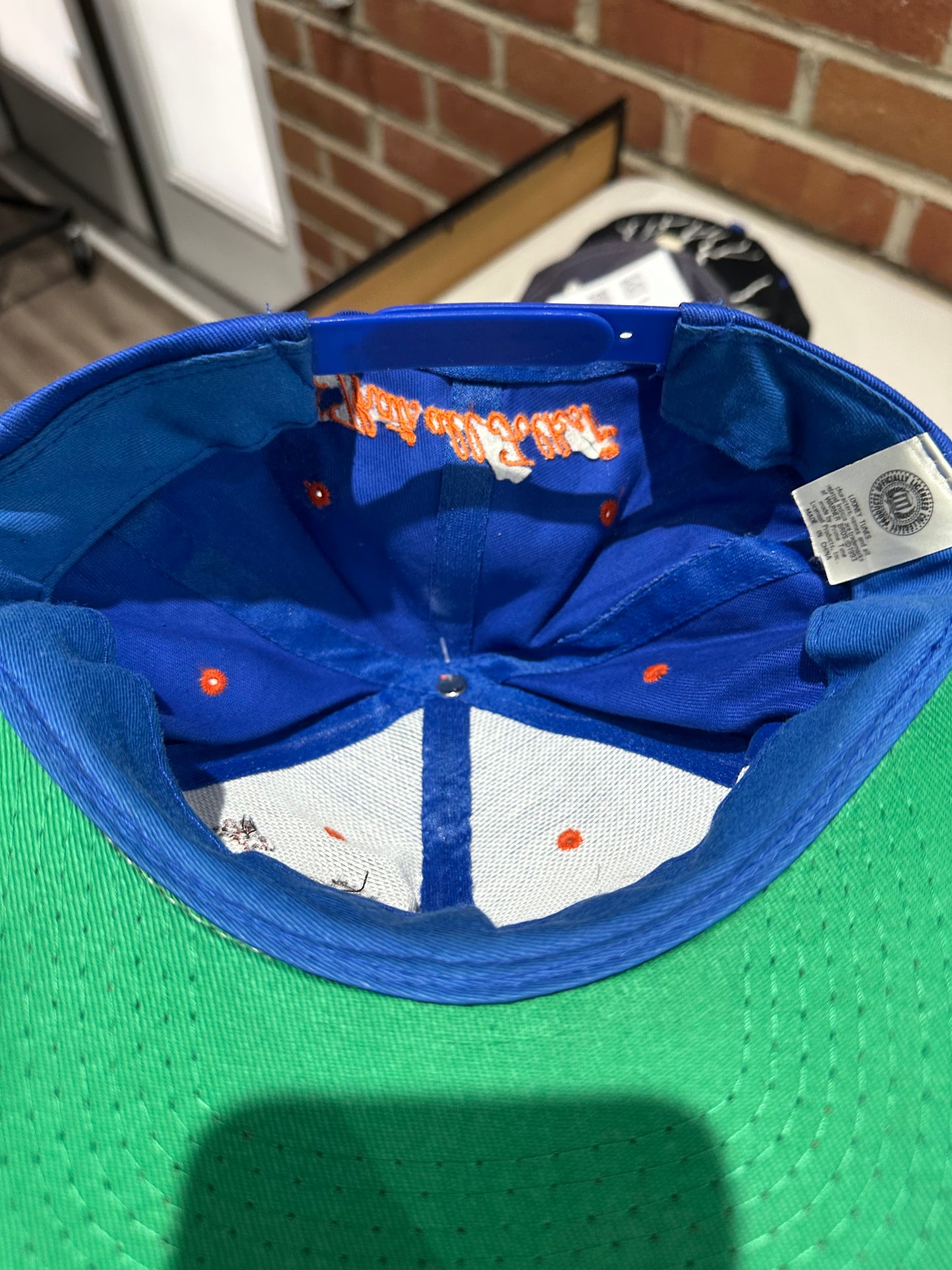 (Adult) 90s University of Illinois Taz Snapback Hat