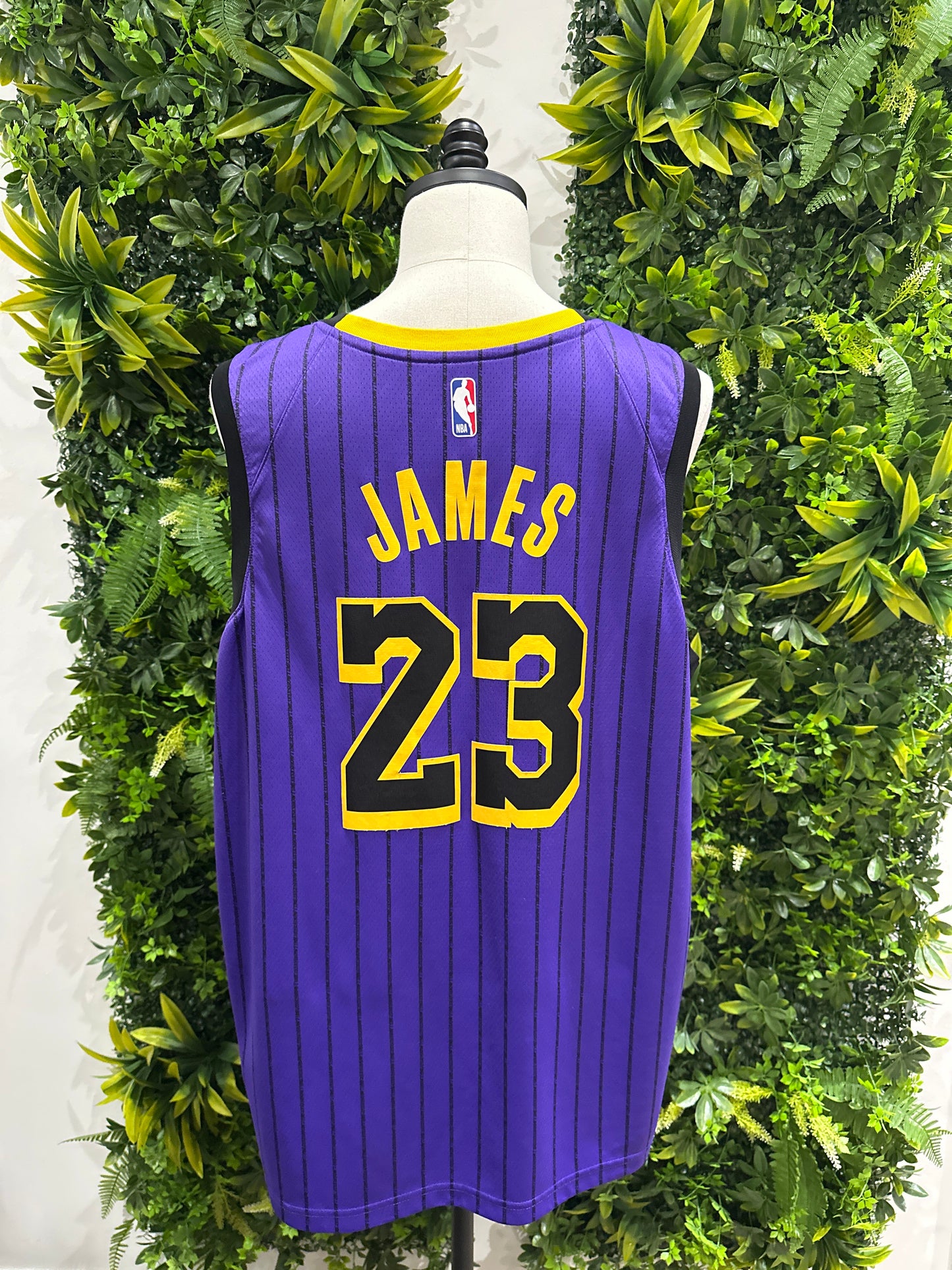 (Mens 3X) Nike L.A Lakers 'Lebron James' Jersey 007