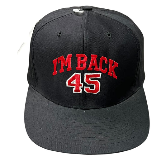 1995 Chicago Bulls I'm Back #45 Hat