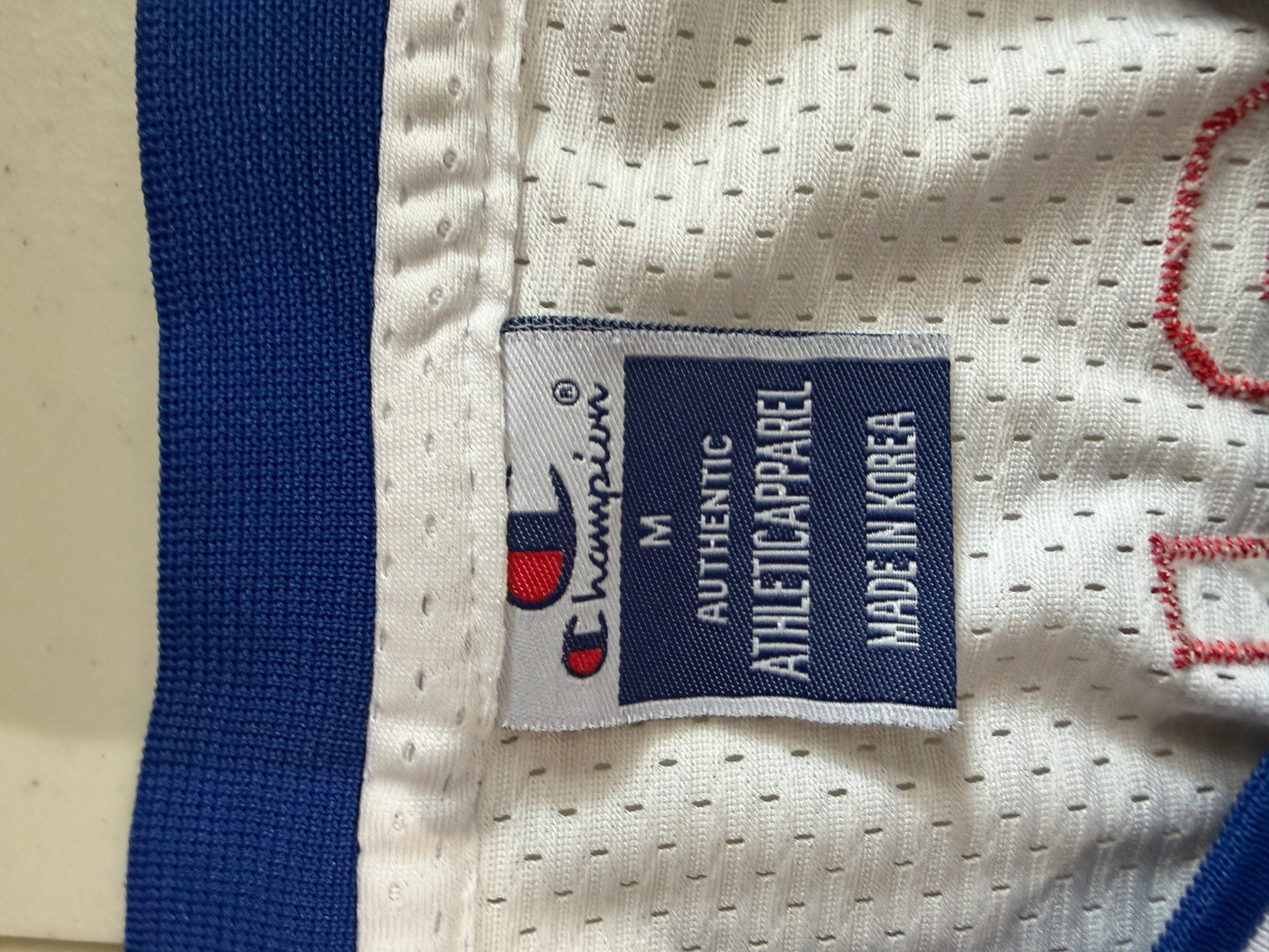 (Adult Medium) 90s Tune Squad Lola Bunny Jersey