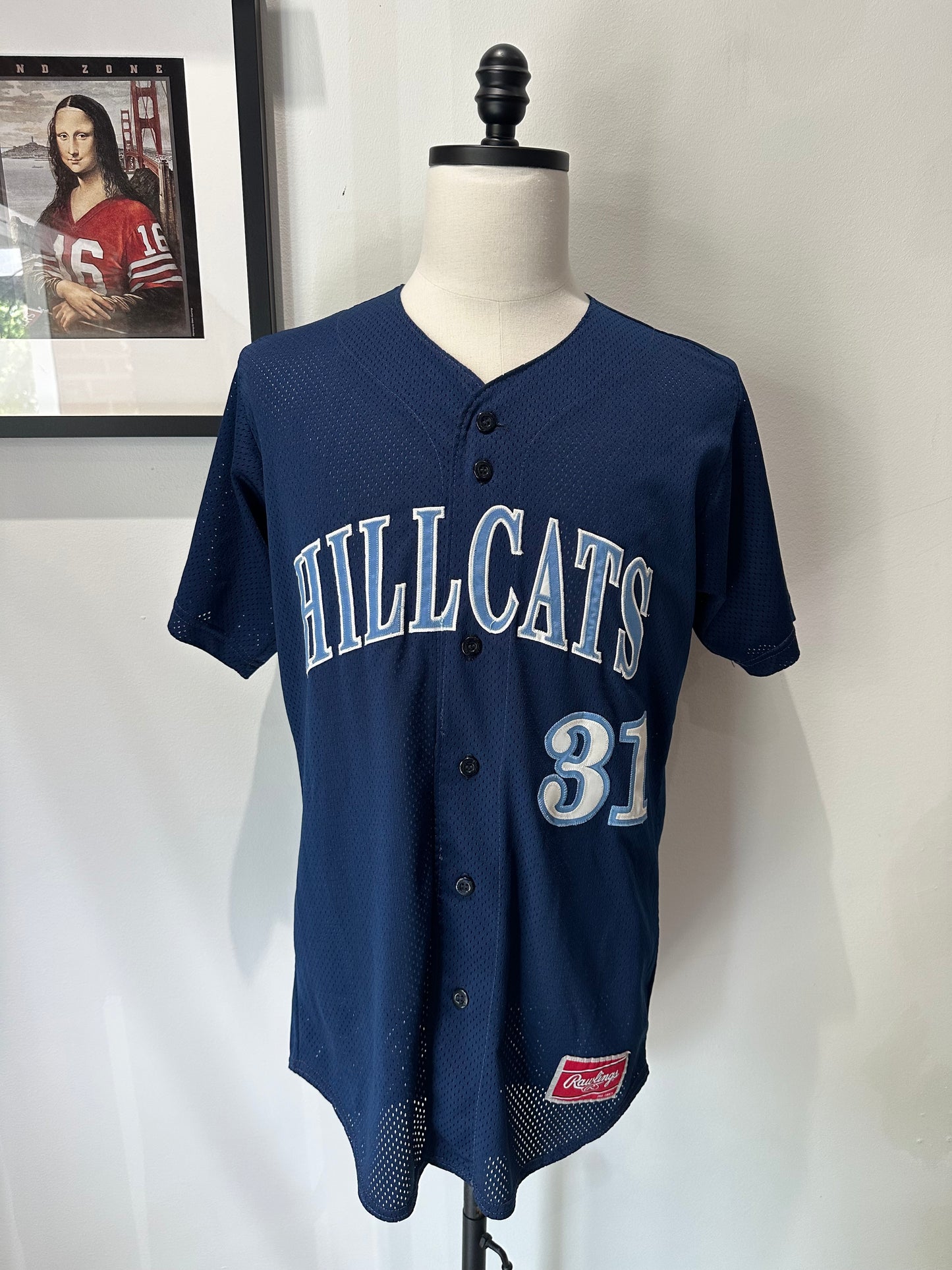 (Mens Medium) 90s Virginia Hillcats Baseball Jersey 007