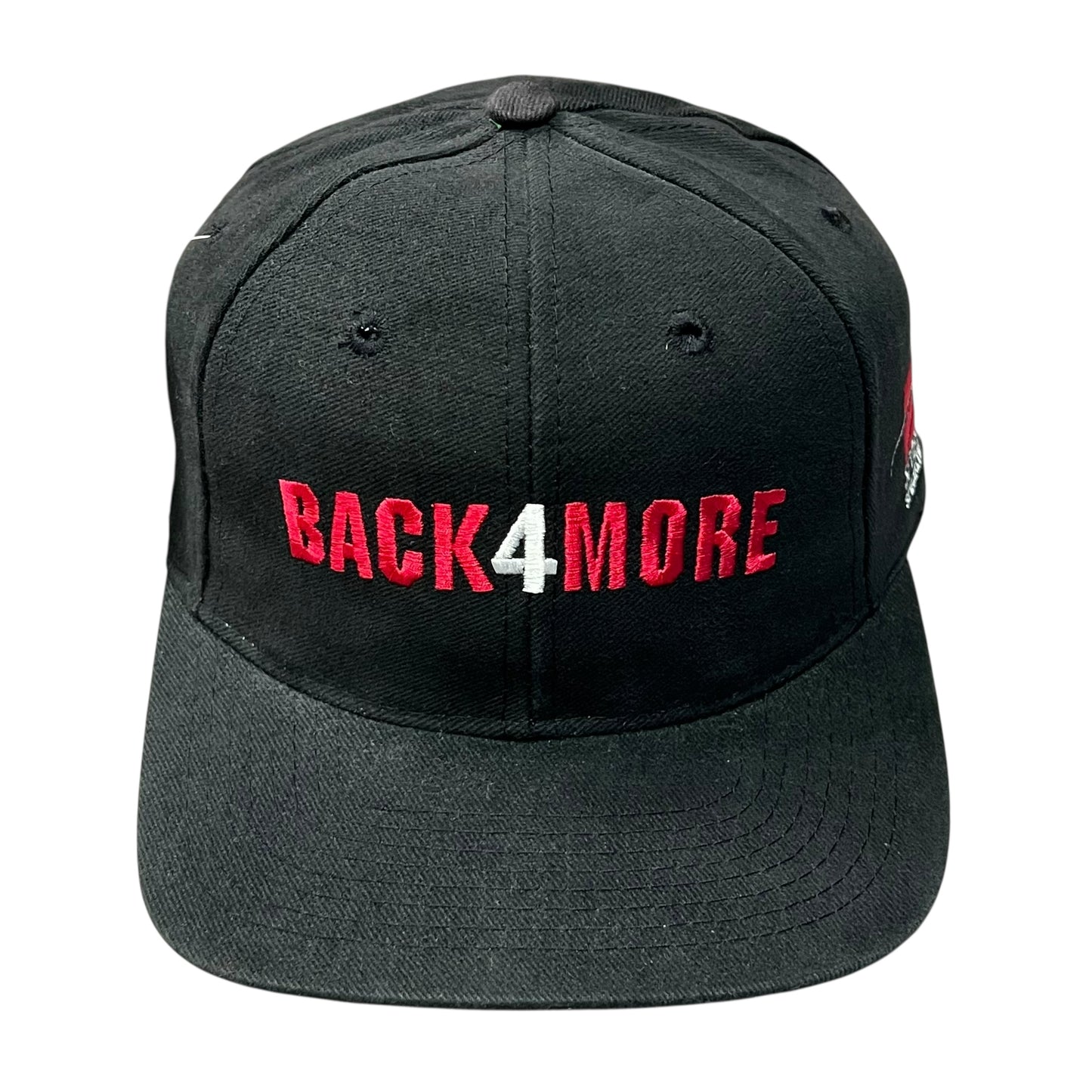 1995 Michael Jordan Chicago Bulls Snapback Hat