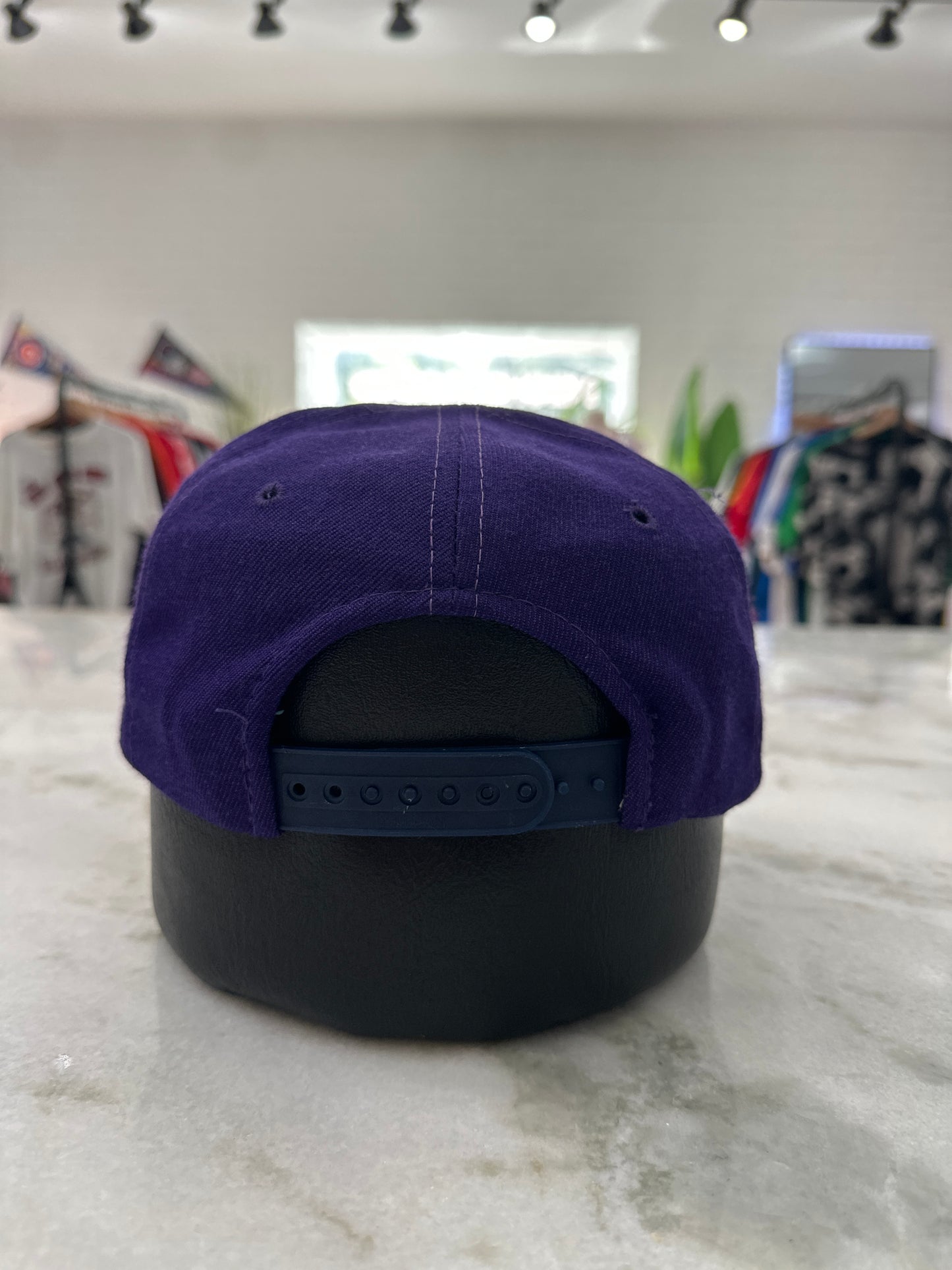 (Adult) Minnisota Vikings Hat