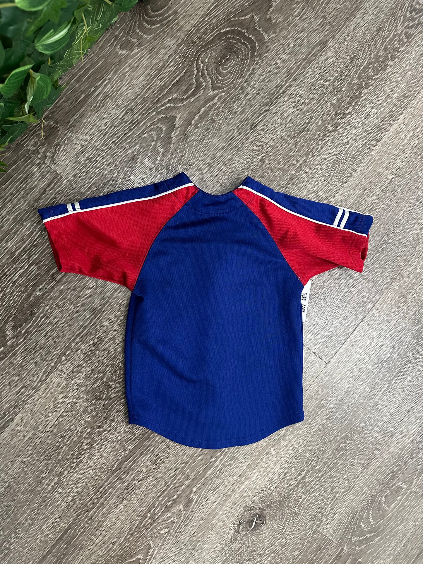 (Kids 2T) Chicago Cubs Jersey