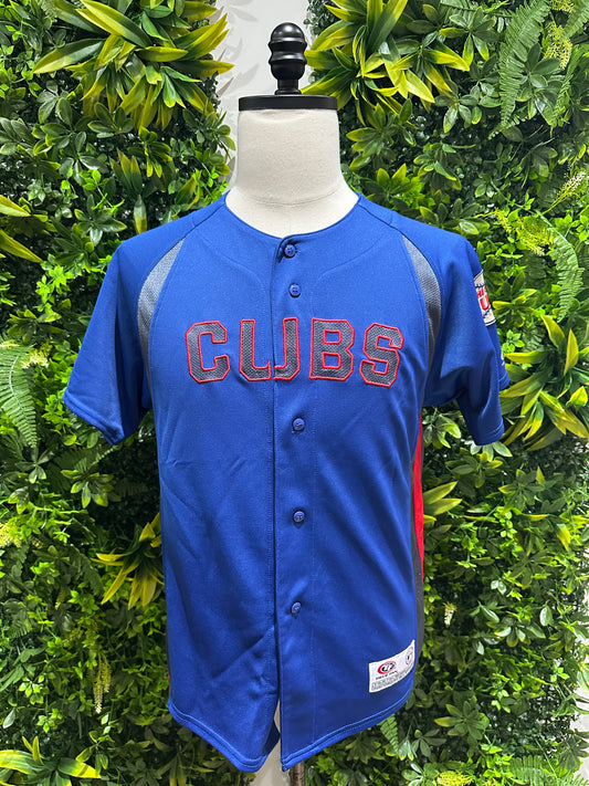 (Mens Large) MLB Chicago Cubs Jersey 007