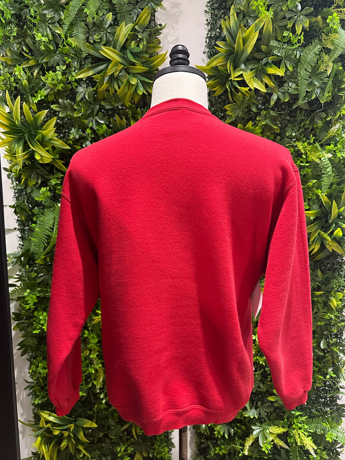 (Mens Medium) 2000s Wisconsin Rosebowl Sweater