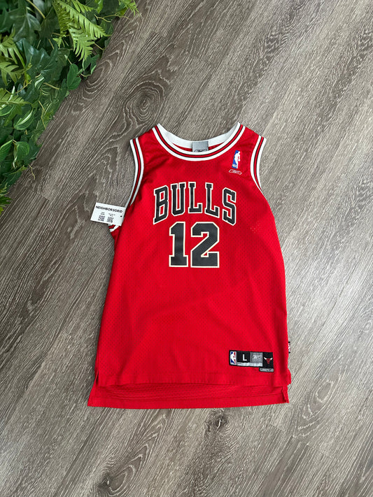(Kids Large) Kirk Hinrich Chicago Bulls Jersey