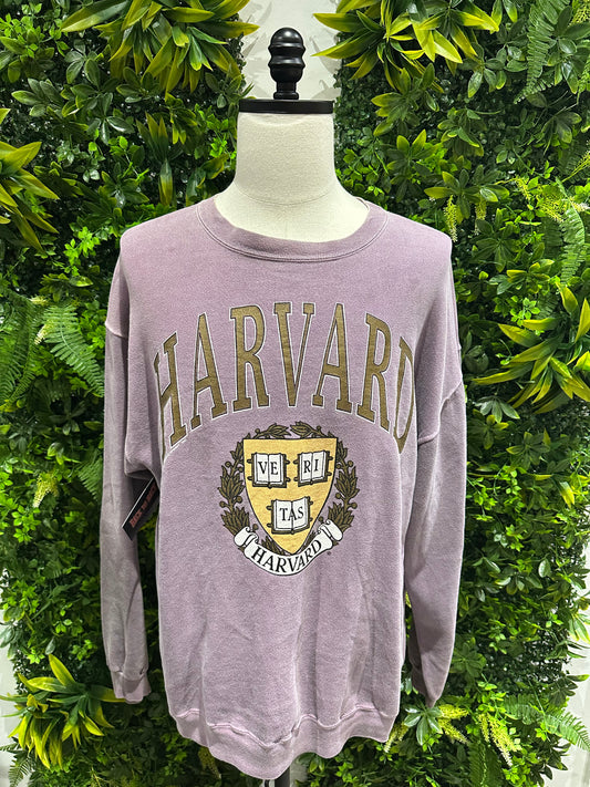 (Mens XL) 90s Harvard University Spell-Out Sweater 007