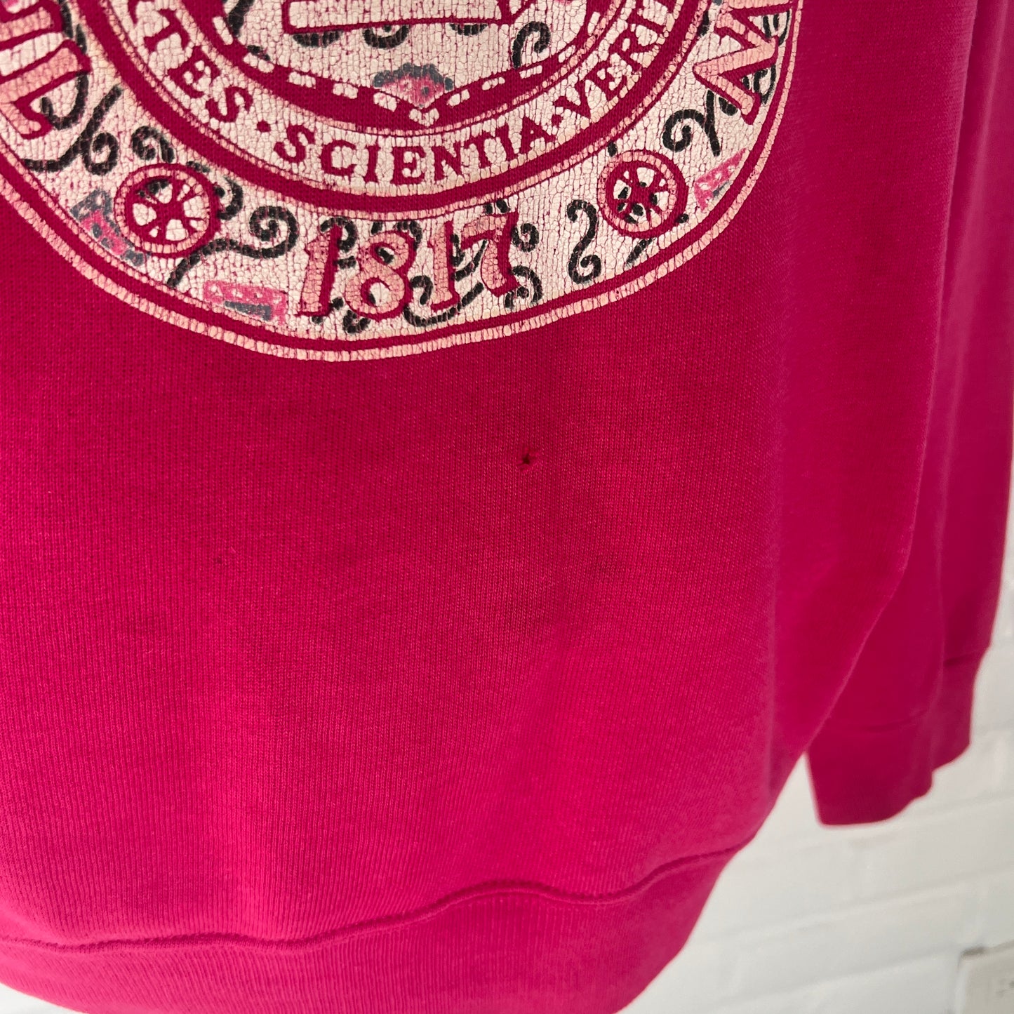 (Womans 2XL) 90s Michigan Paisley Sweater