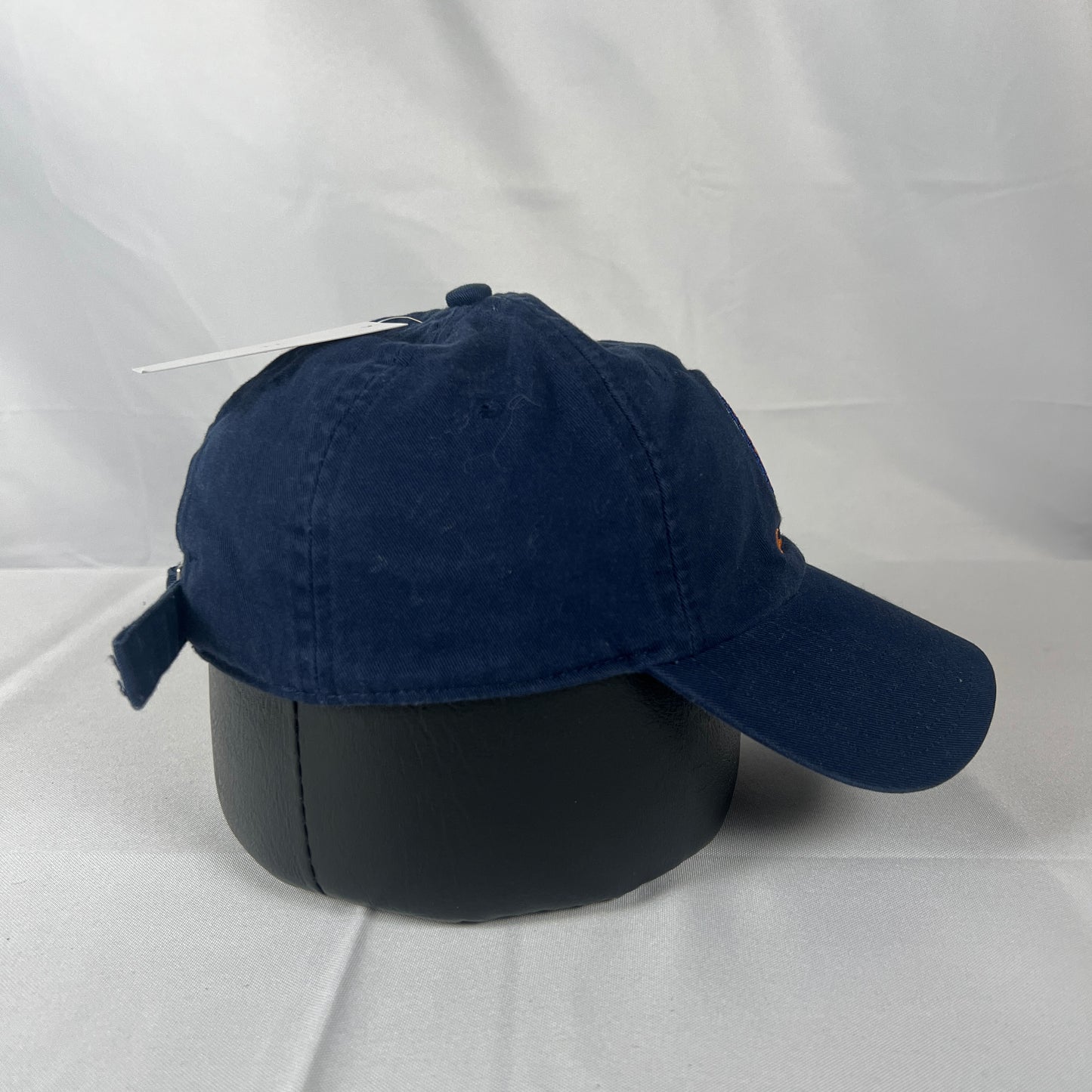 Illinois Chief Nike Dad Hat