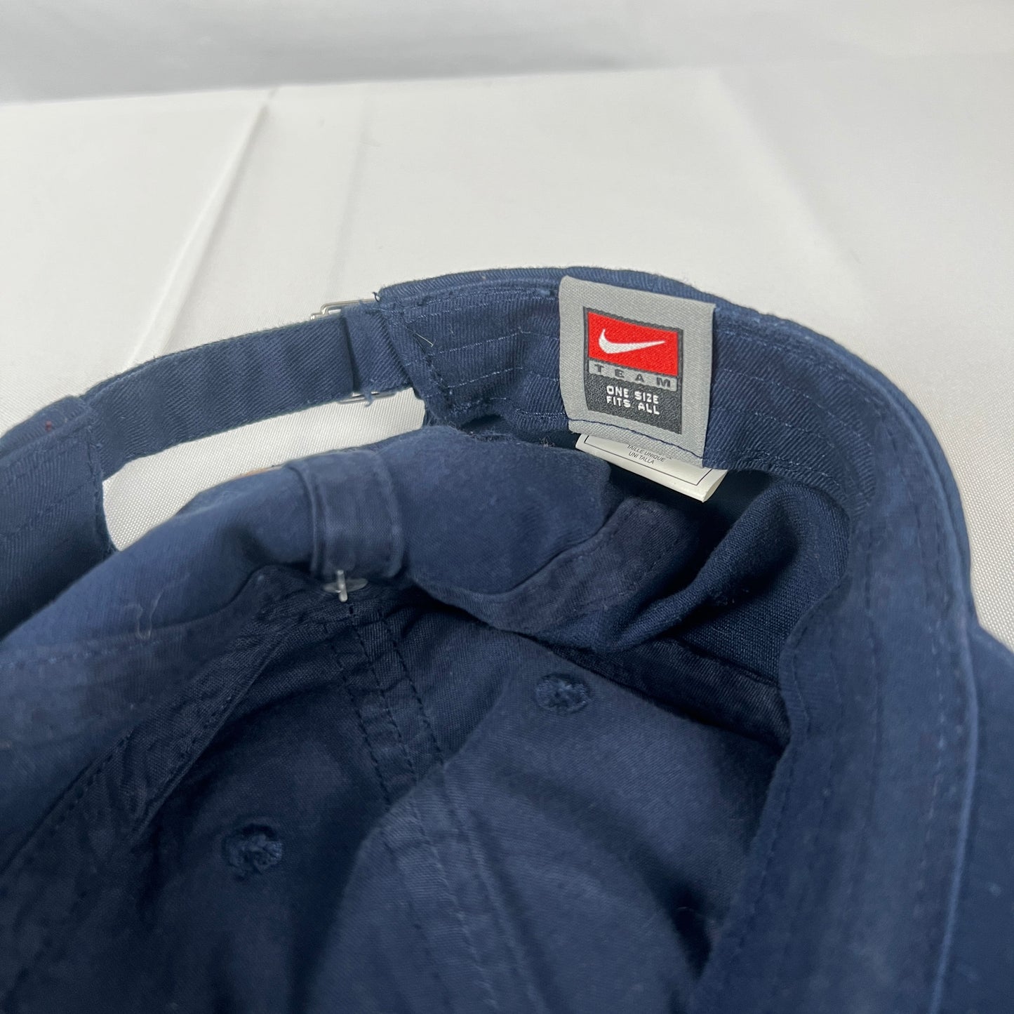 Illinois Chief Nike Dad Hat