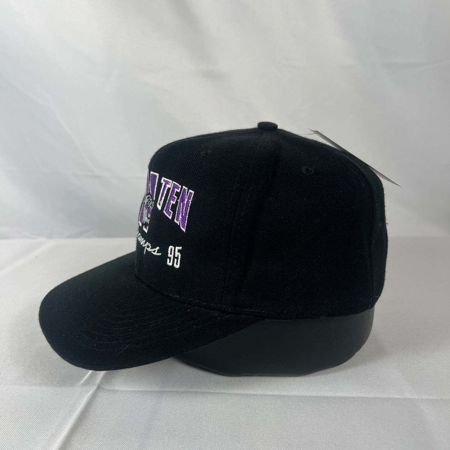 1995 Northwestern Big Ten Hat