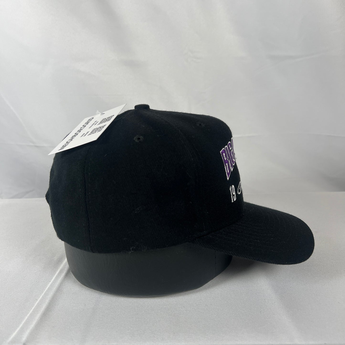 1995 Northwestern Big Ten Hat