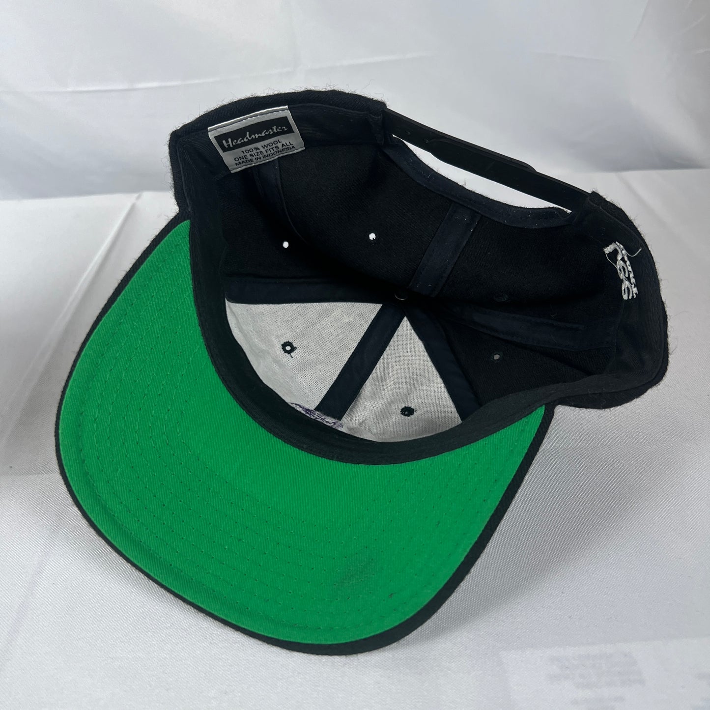 1996 Northwestern Big Ten Snapback Hat