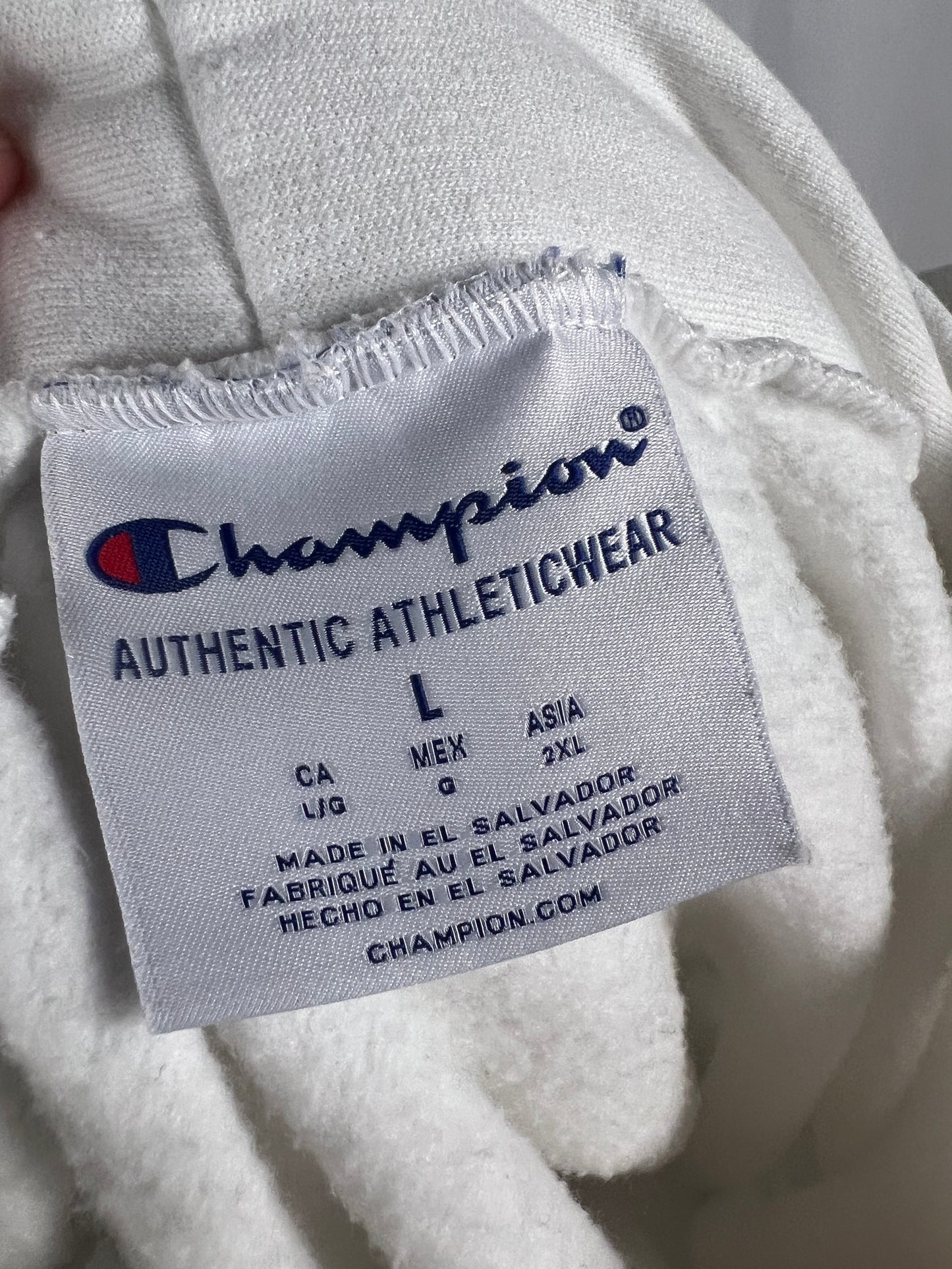 (Mens Large) Iowa State Hoodie