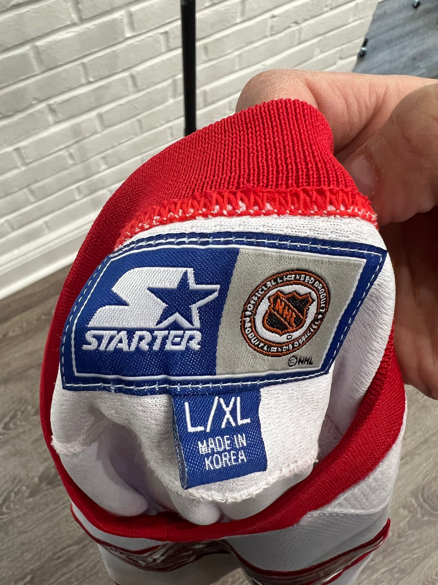 (Kids Large/XL) 90s Red Wings Starter Jersey