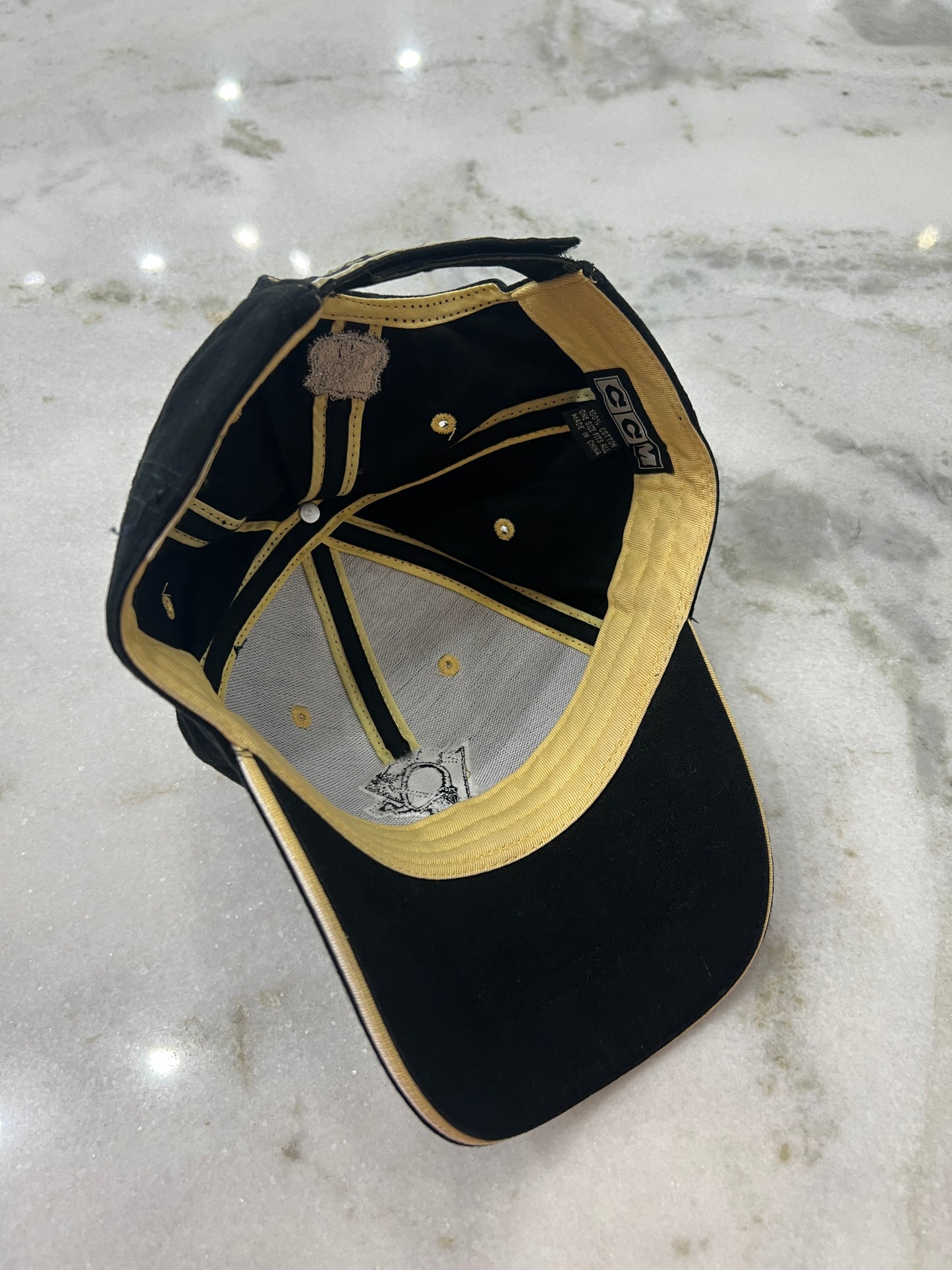 Pittsburgh Penguins Hat