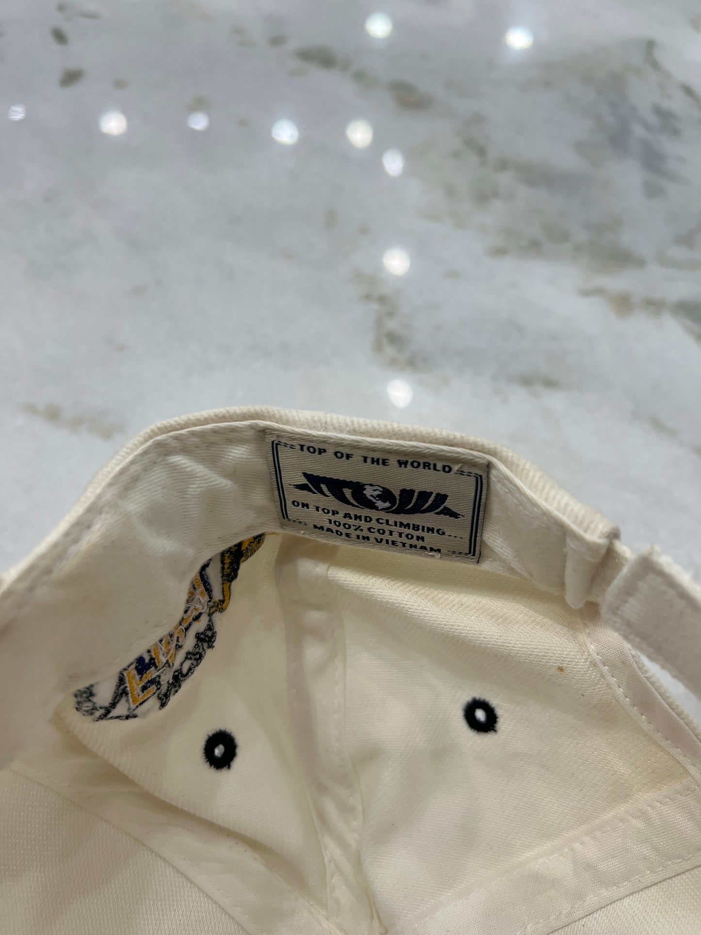 2003 Michigan Final Four Hat